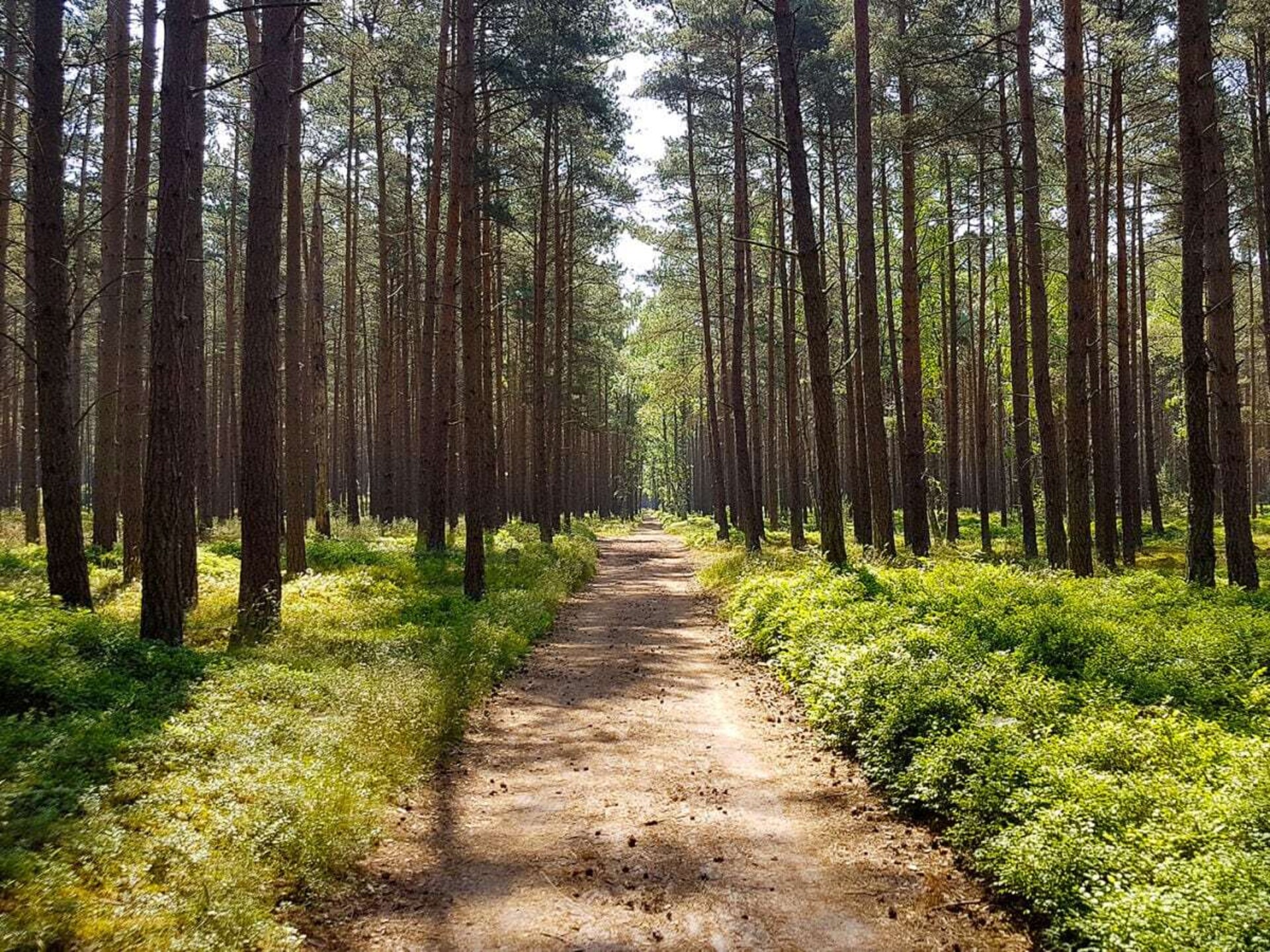 Ruime familievilla met sauna, houtkachel en kinderspullen nabij Zinnowitz - foto 18