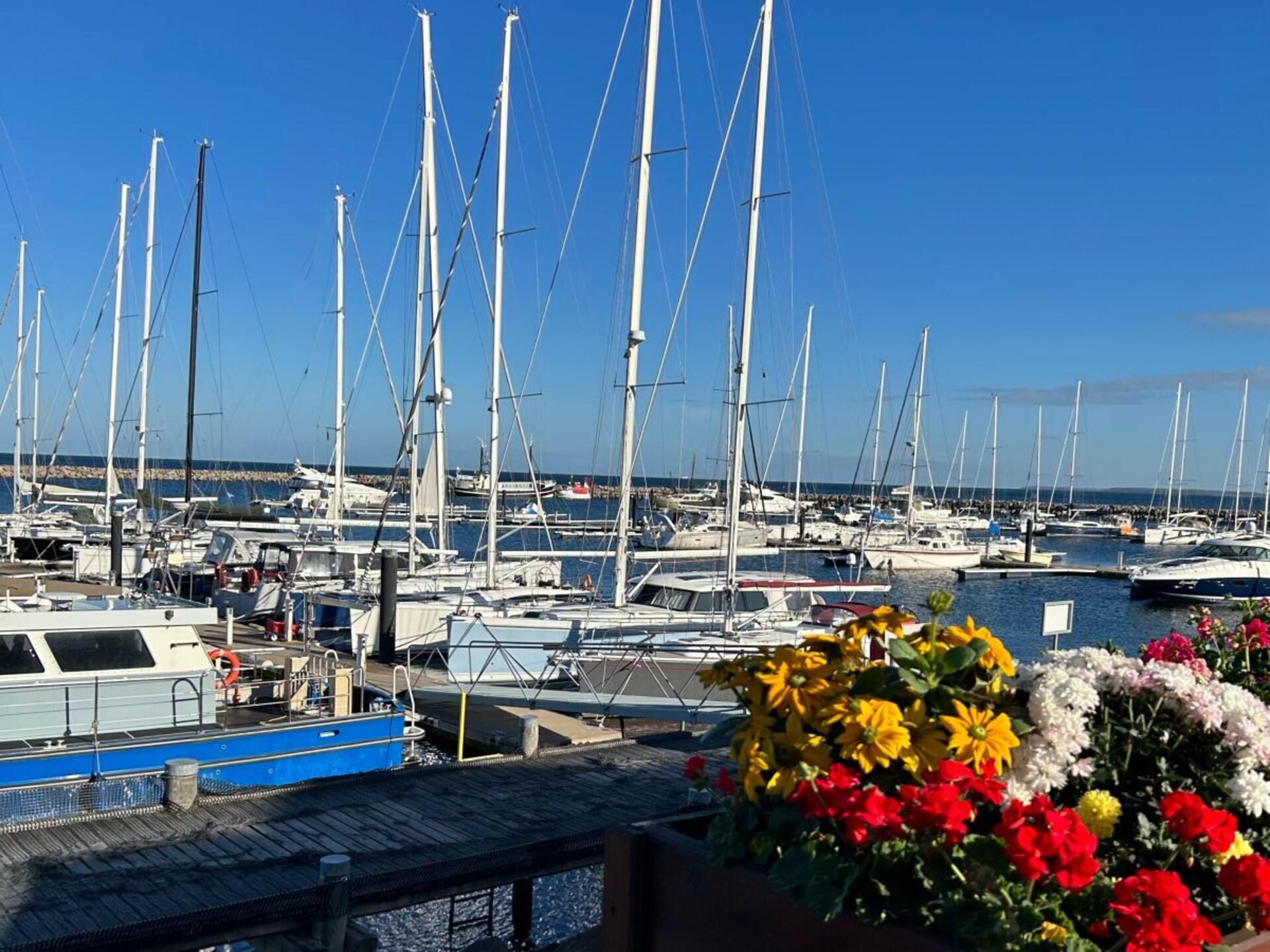 Modern vrijstaand vakantiehuis met 2 terrassen op 3 km van Kühlungsborn - foto 30