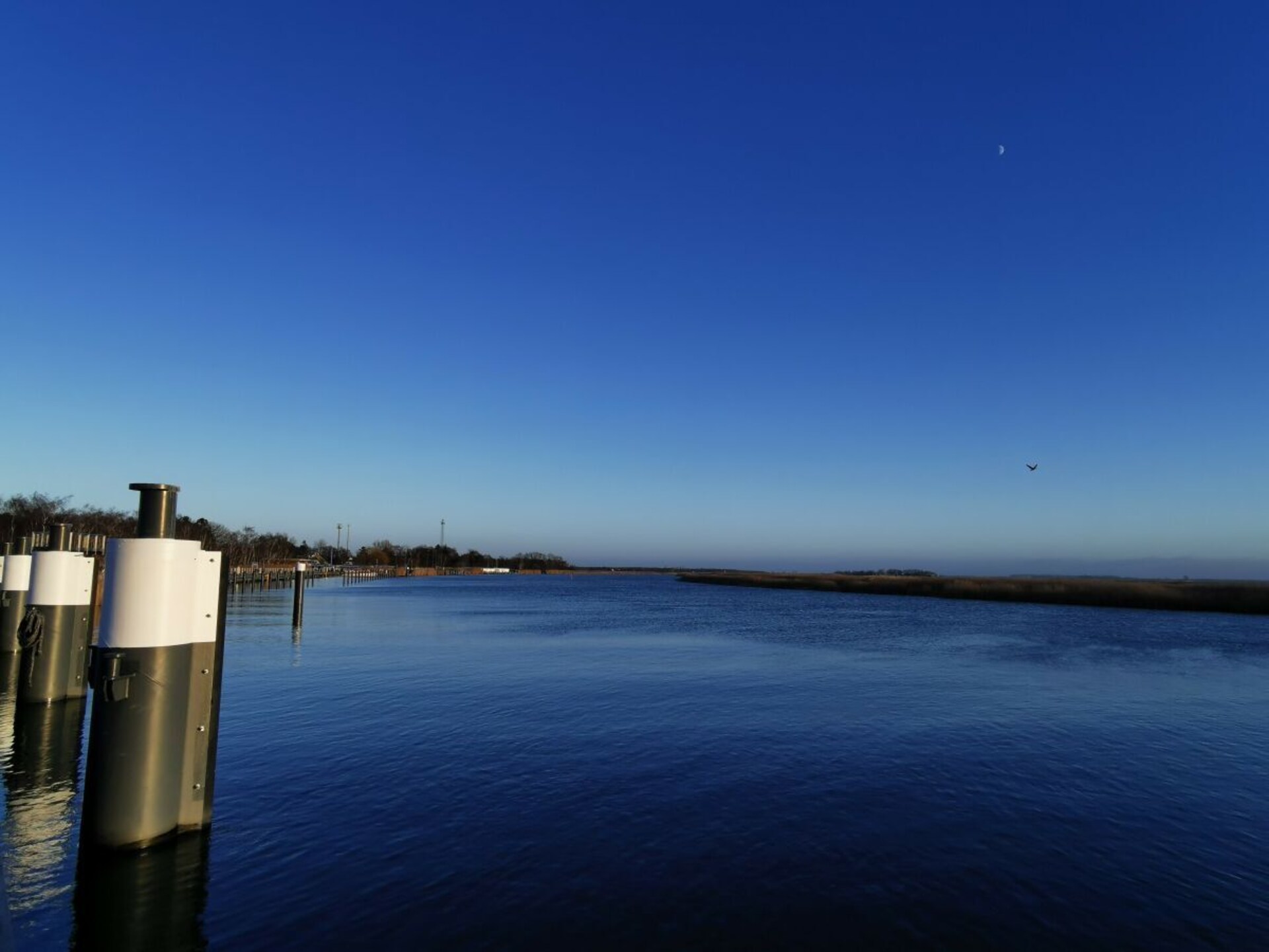 Licht appartement aan de Bodden met oost- en westterras in Zingst - foto 26