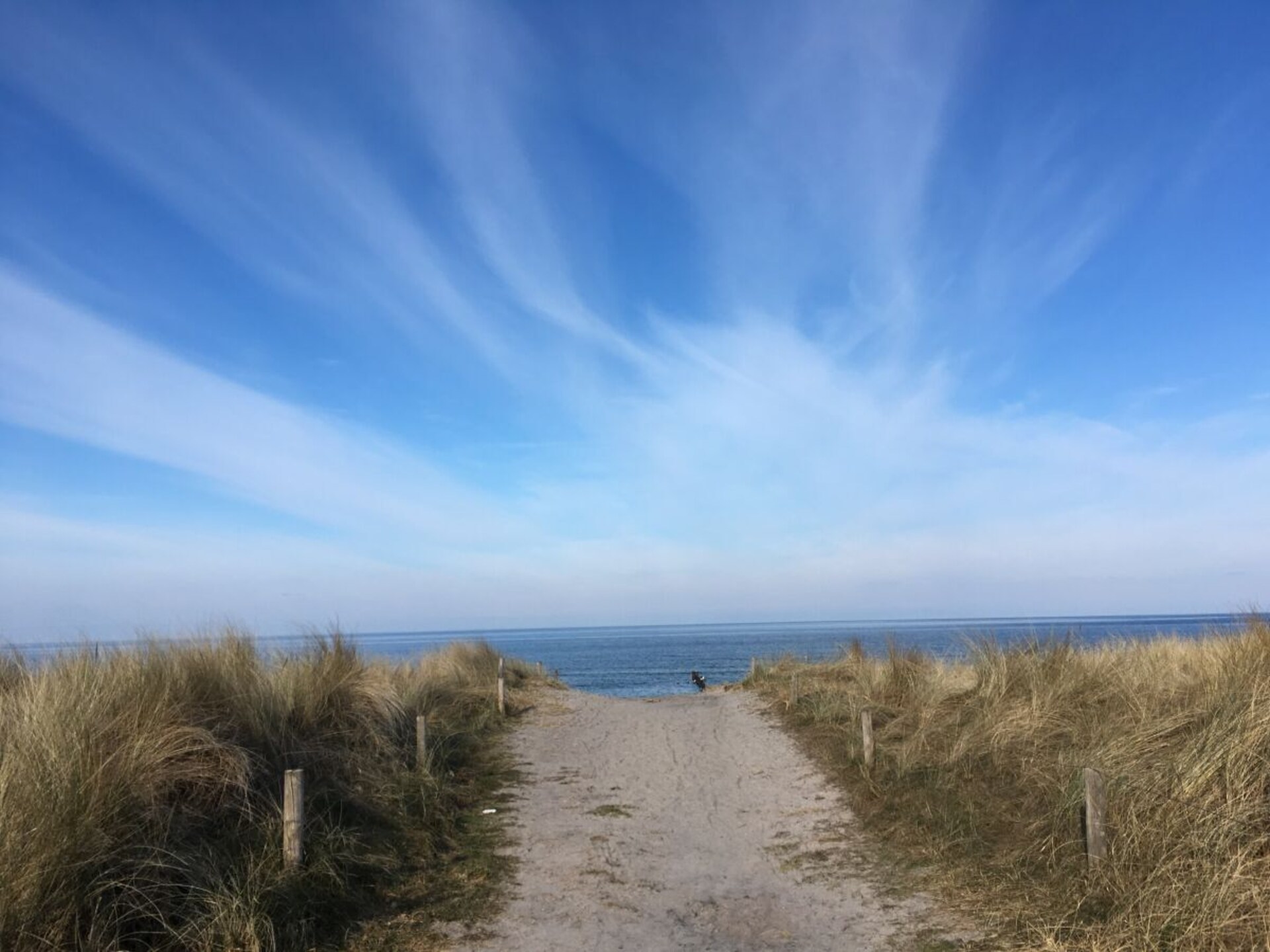 Licht appartement aan de Bodden met oost- en westterras in Zingst - foto 28