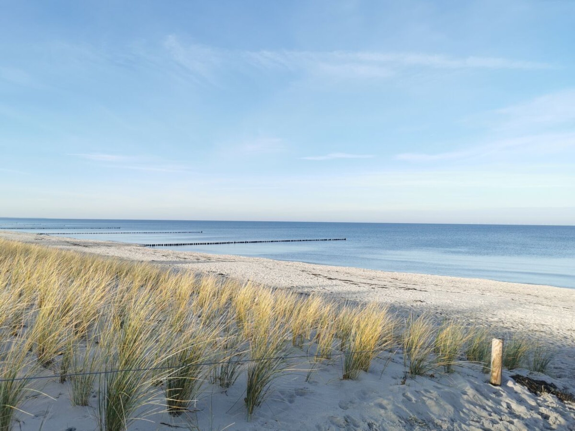 Licht appartement aan de Bodden met oost- en westterras in Zingst - foto 30
