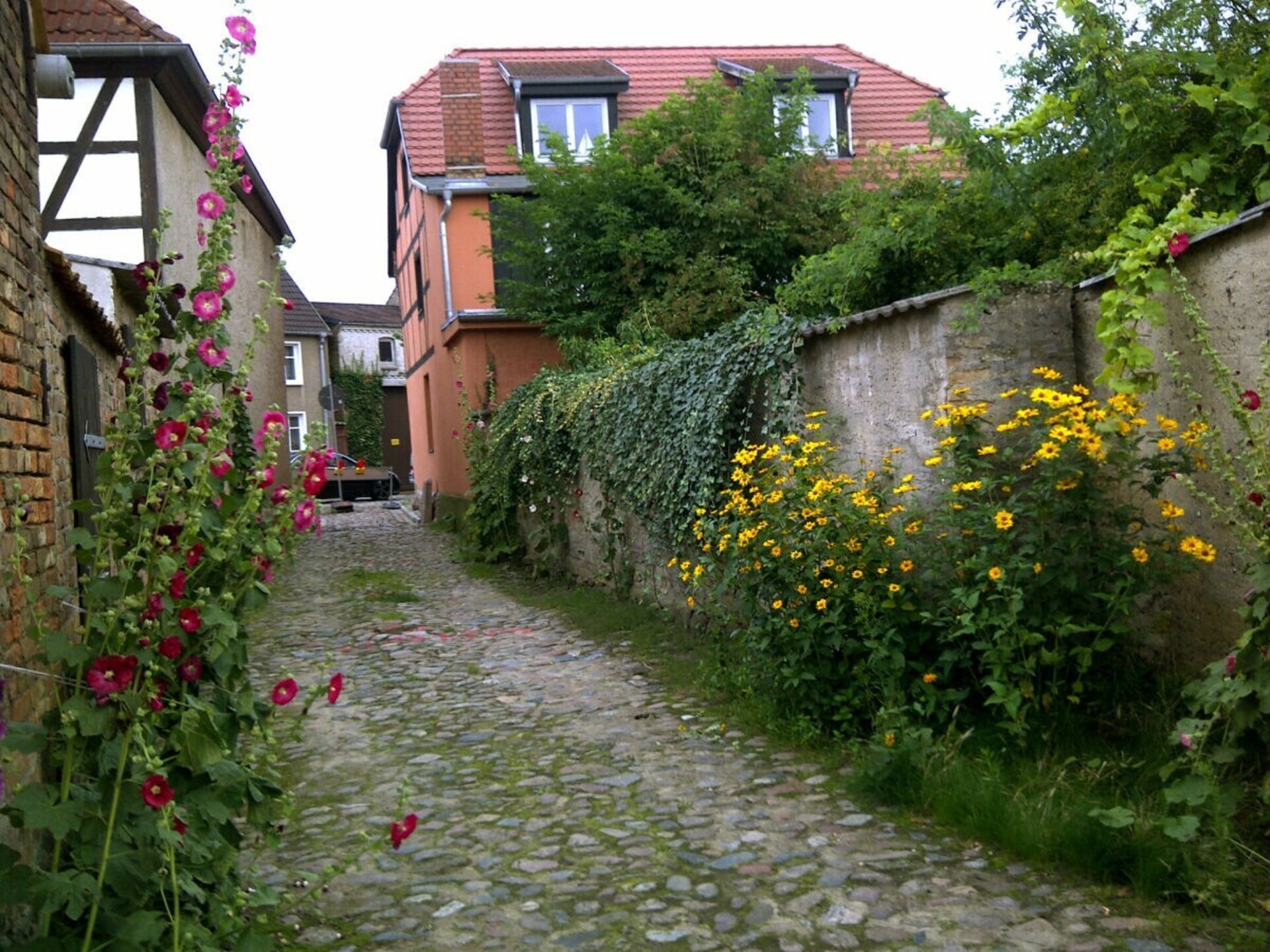 4-persoons vakantiehuis in het centrum van Röbel / Müritz - foto 17
