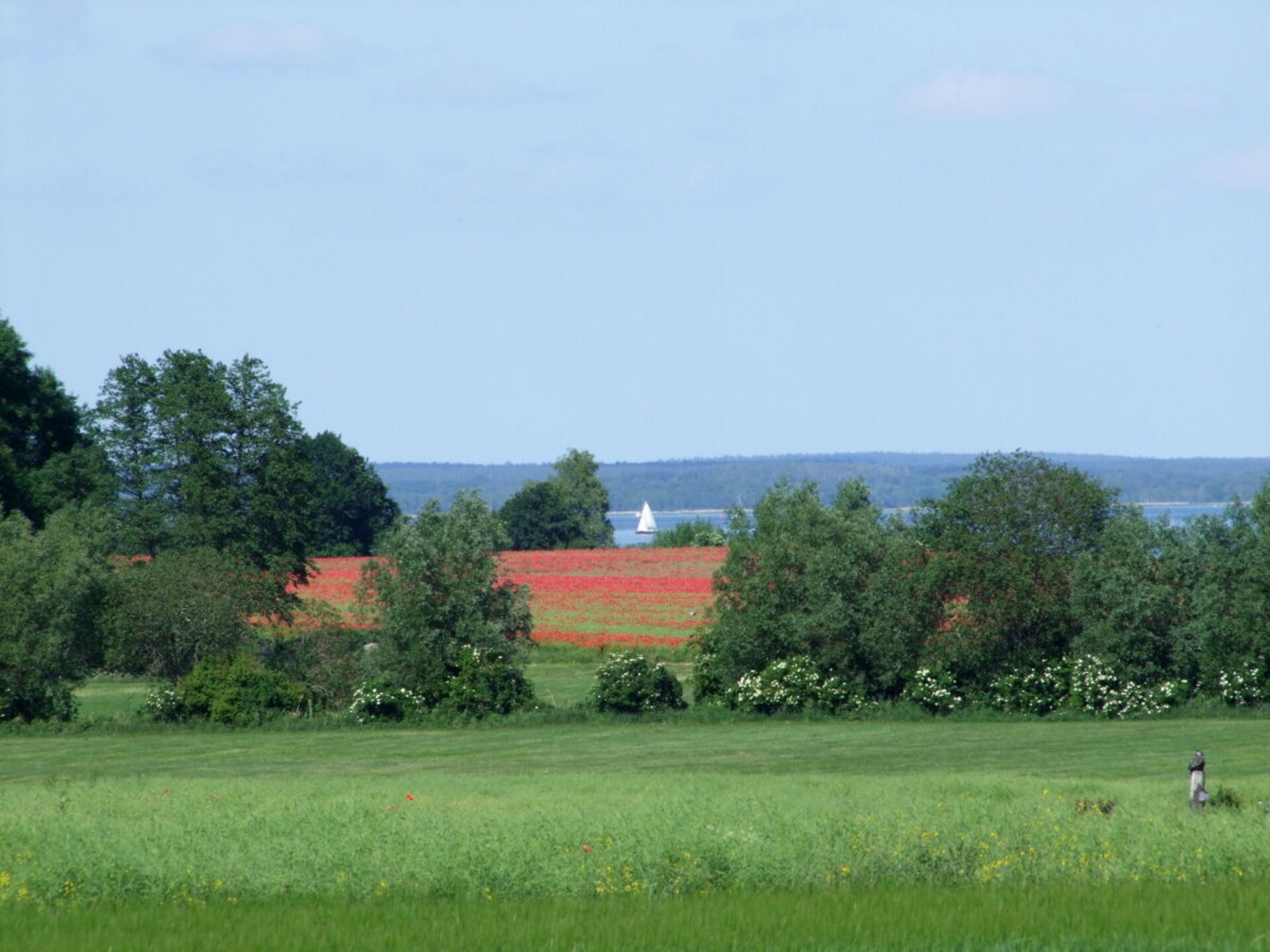 4-persoons vakantiehuis in het centrum van Röbel / Müritz - foto 24