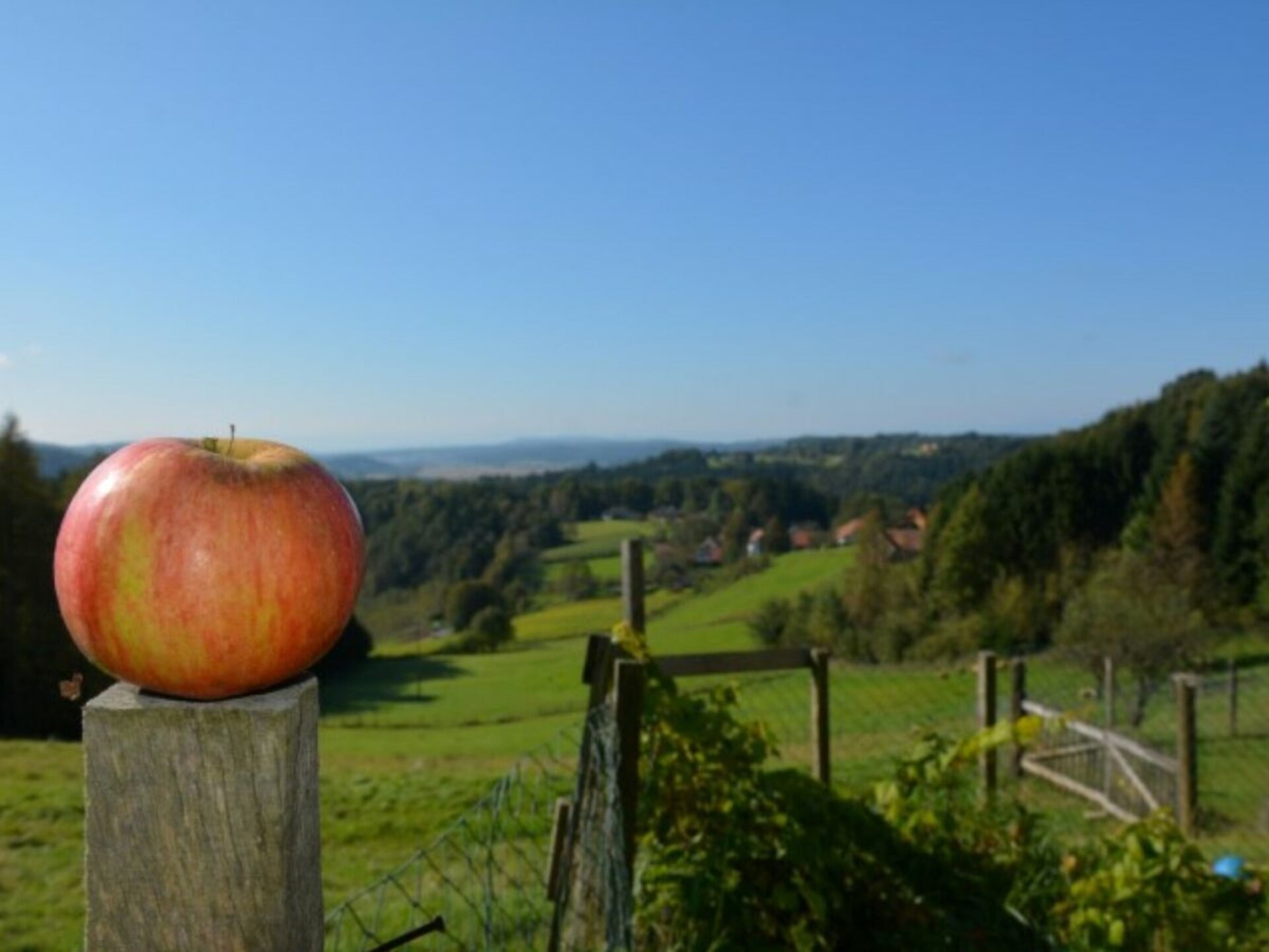 Zonnig appartement in Edelsgrub met terras en uitzicht op de natuur - foto 7