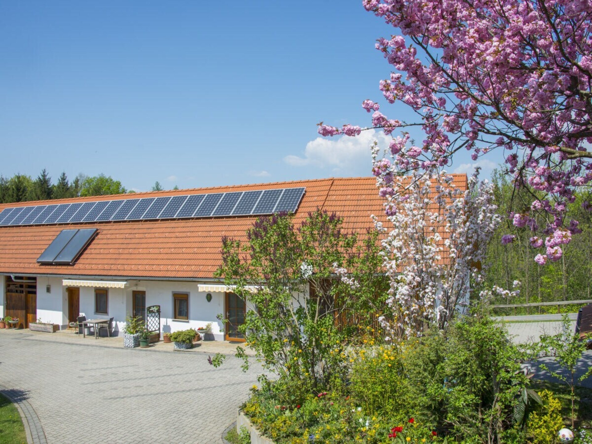 Zonnig appartement in Edelsgrub met terras en uitzicht op de natuur - foto 14