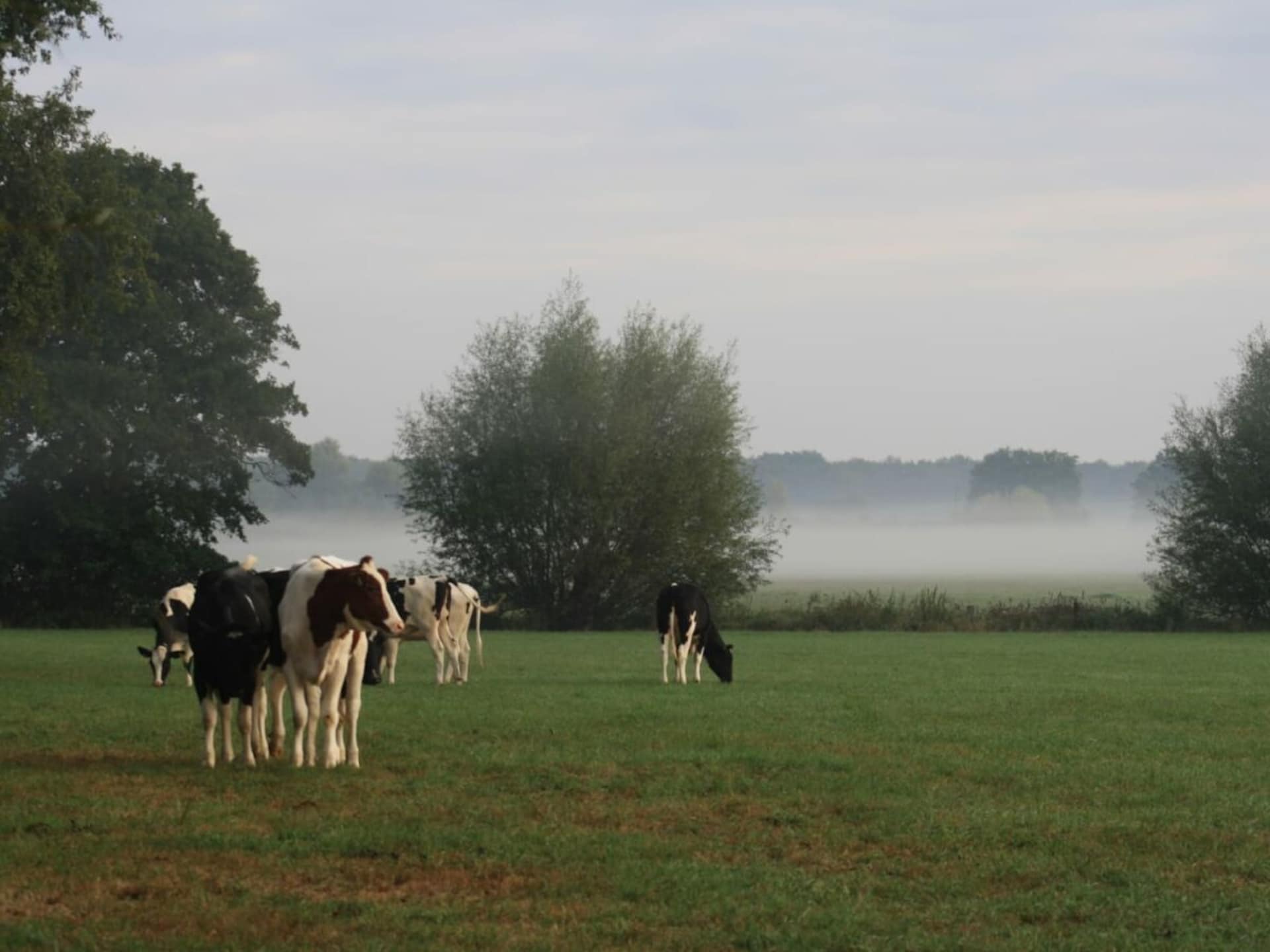 Ruim vakantieappartement met panoramisch uitzicht over de Neder-Rijnstreek - foto 25