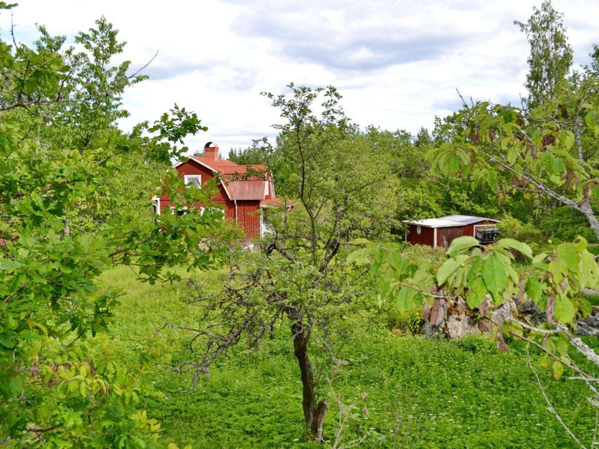 Authentiek rood vakantiehuis voor 10 personen in de natuur van Småland - foto 2