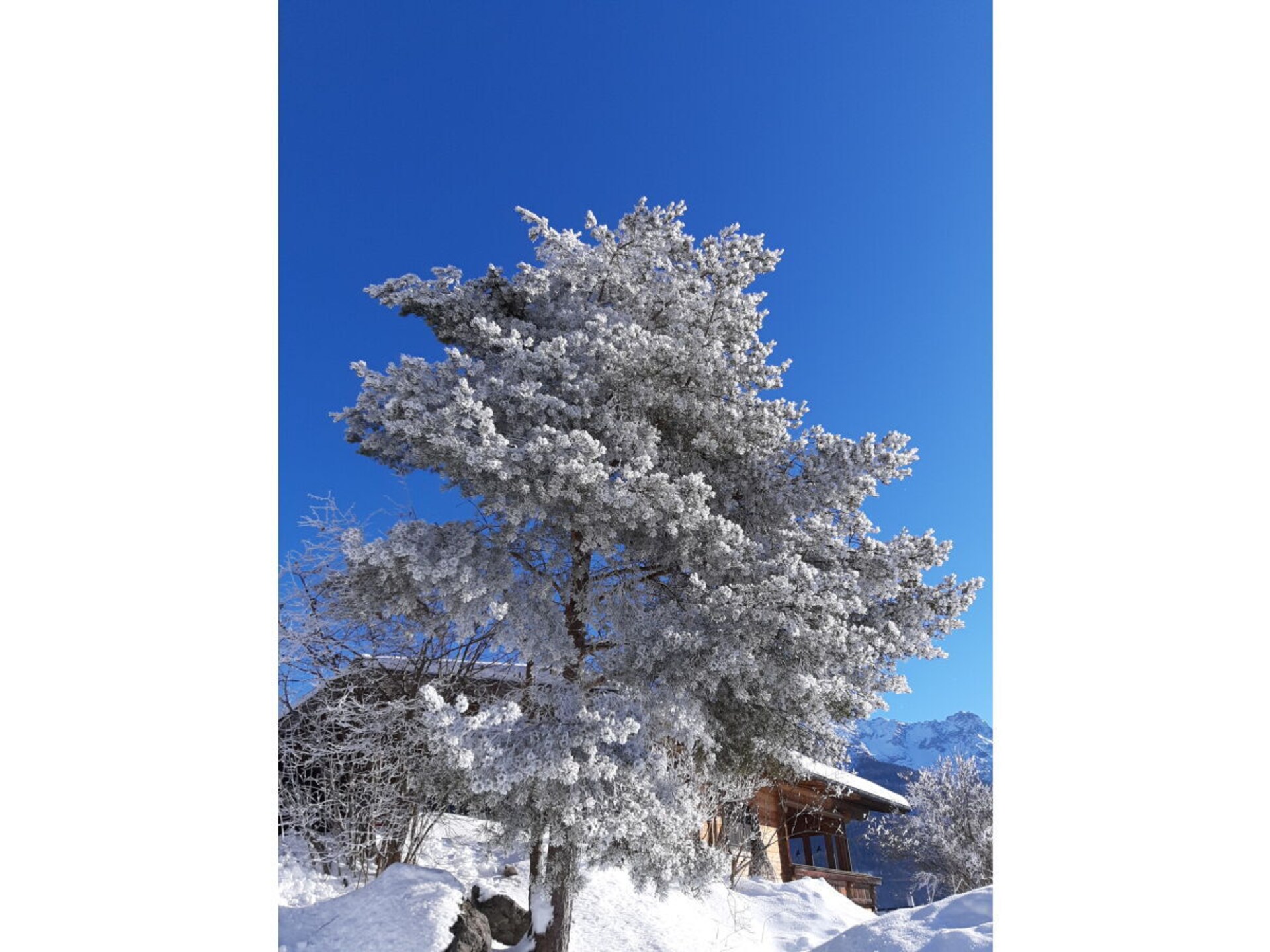 Knus appartement voor 2 in Waidring, 800m van de skilift - foto 5