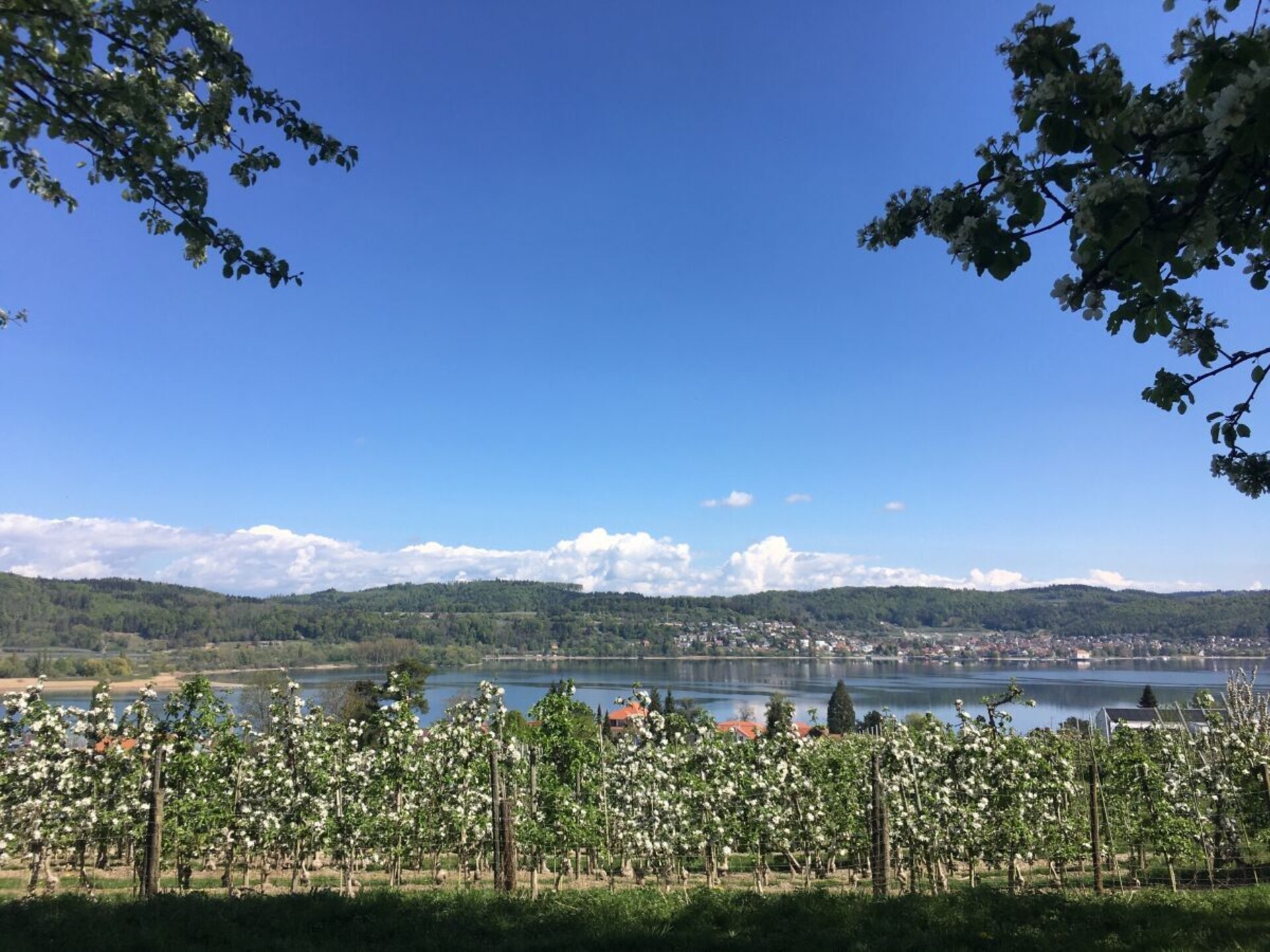 Licht zolderappartement met sauna en terras bij de Bodensee - foto 18