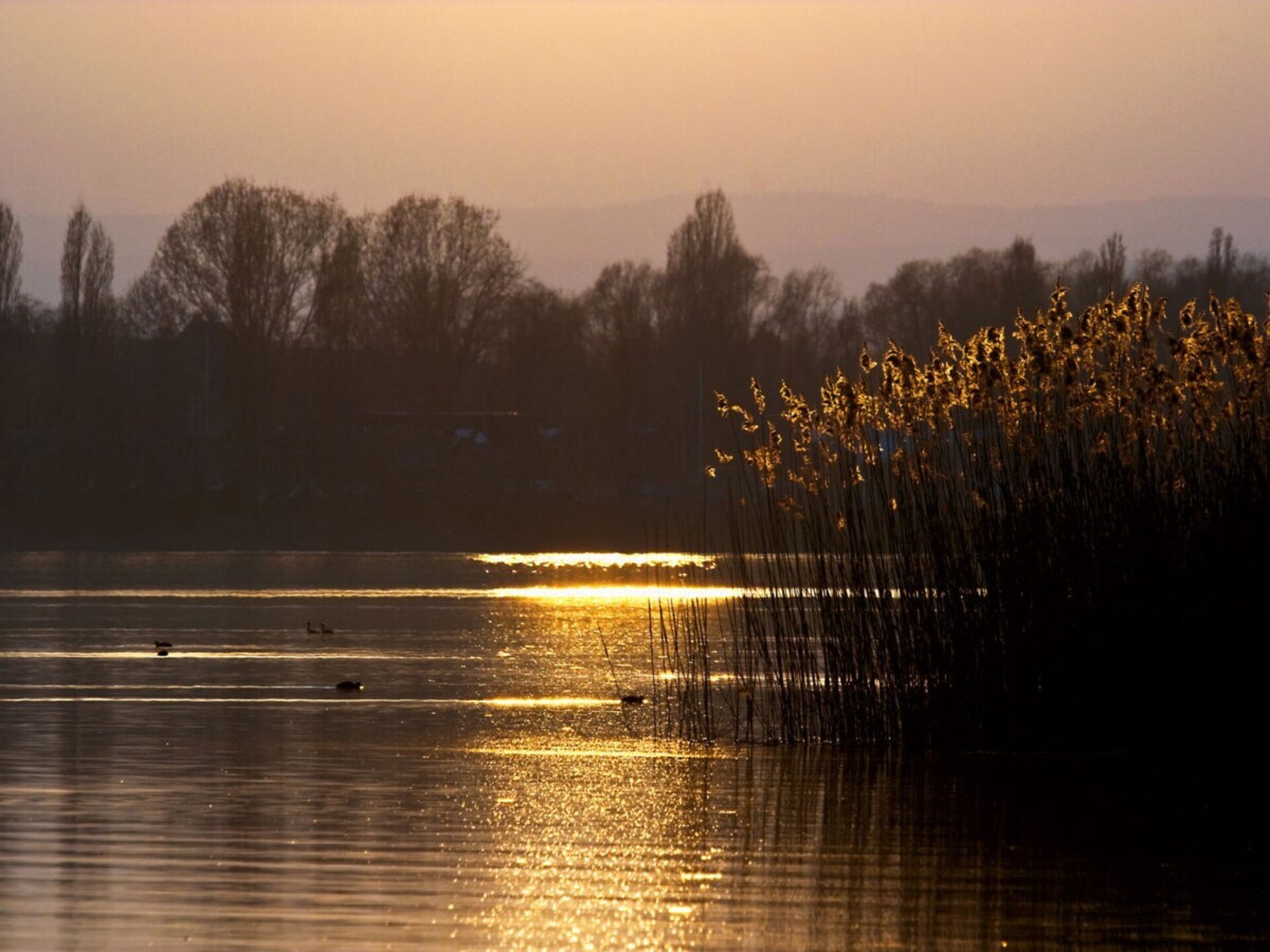 Licht zolderappartement met sauna en terras bij de Bodensee - foto 25