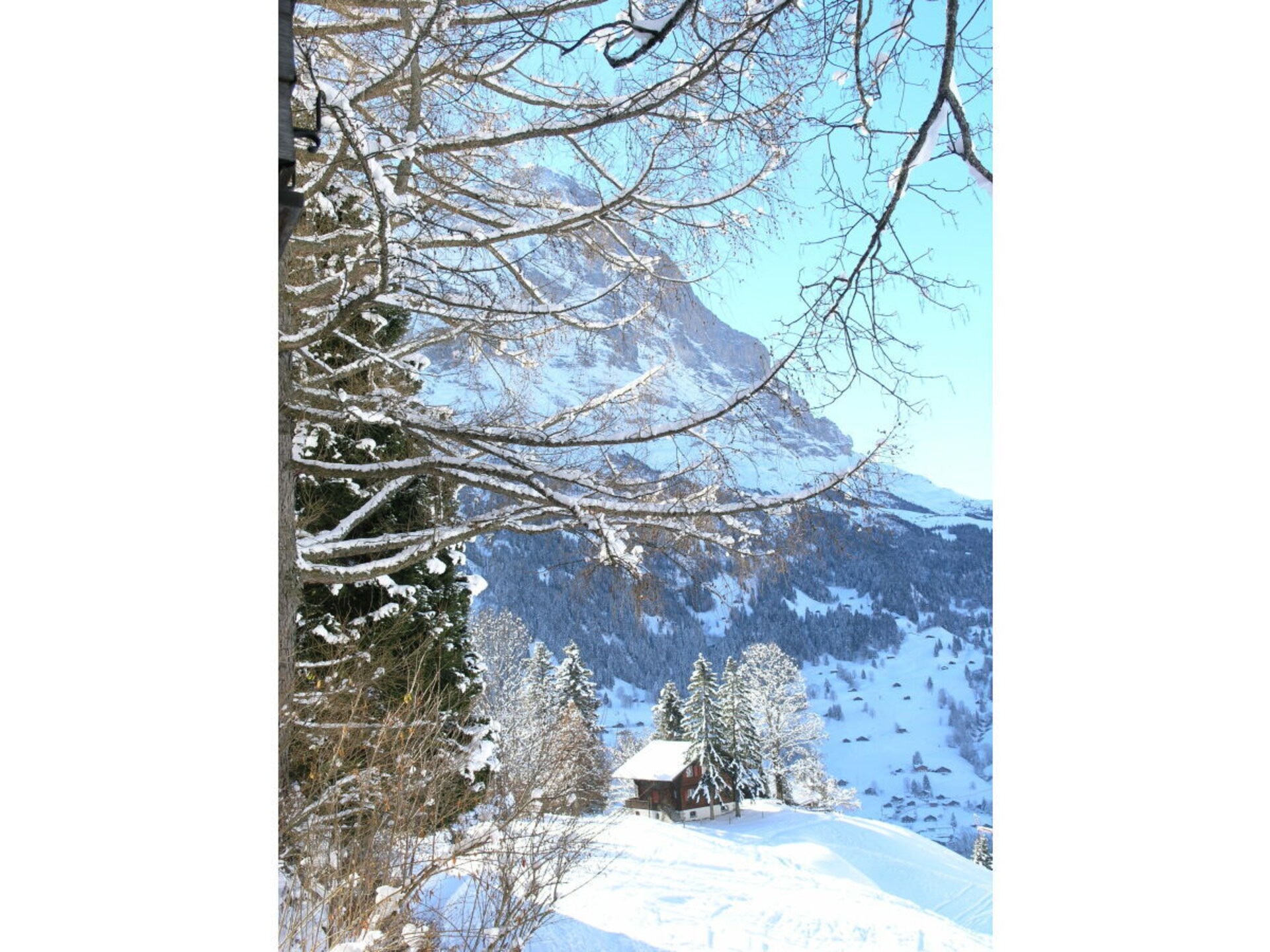 Authentiek chalet Bella Vista in Grindelwald, 100m van de piste - foto 28