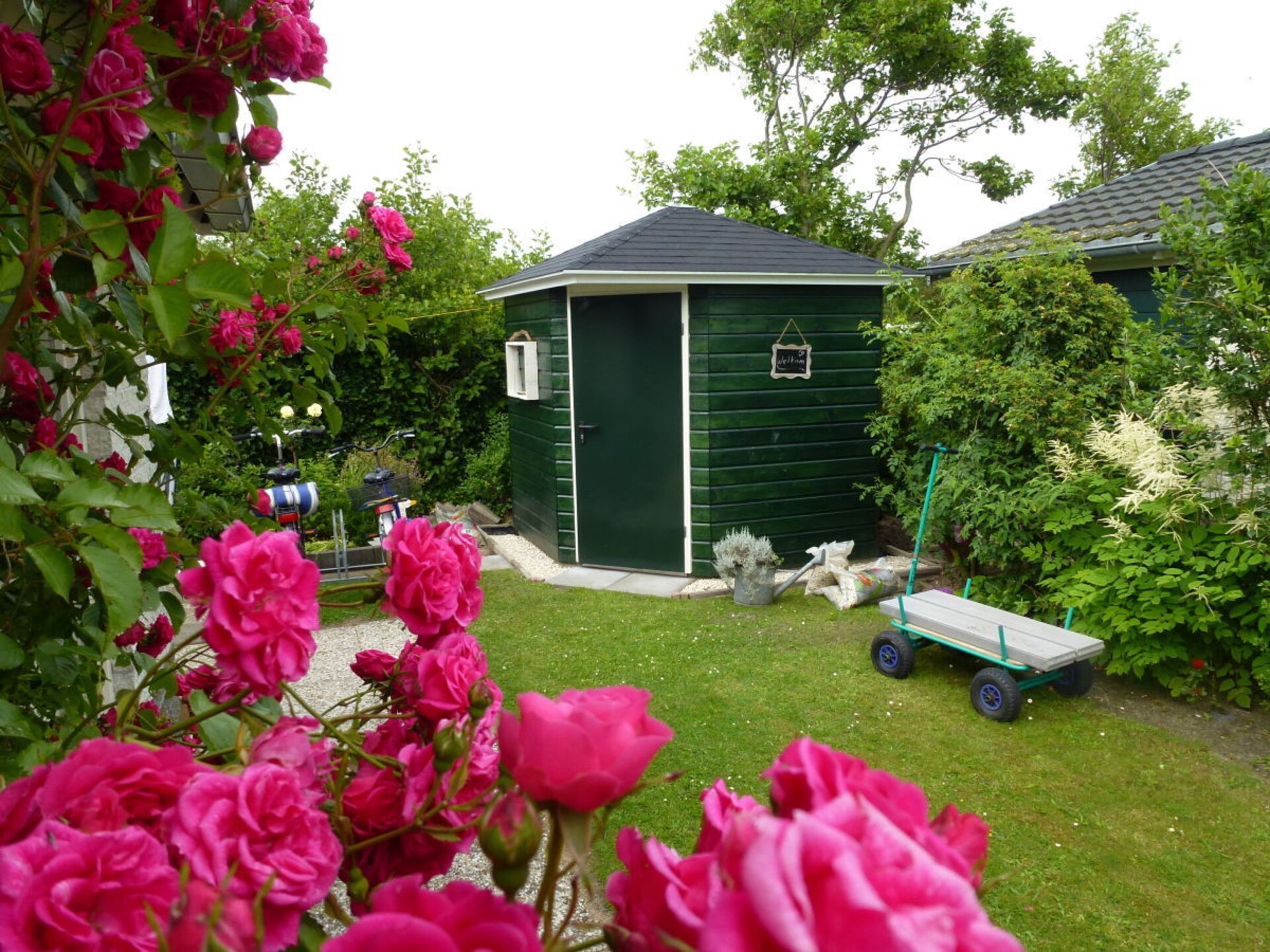 5-persoons vakantiehuis in Petten op 5-sterrenpark De Watersnip - foto 3