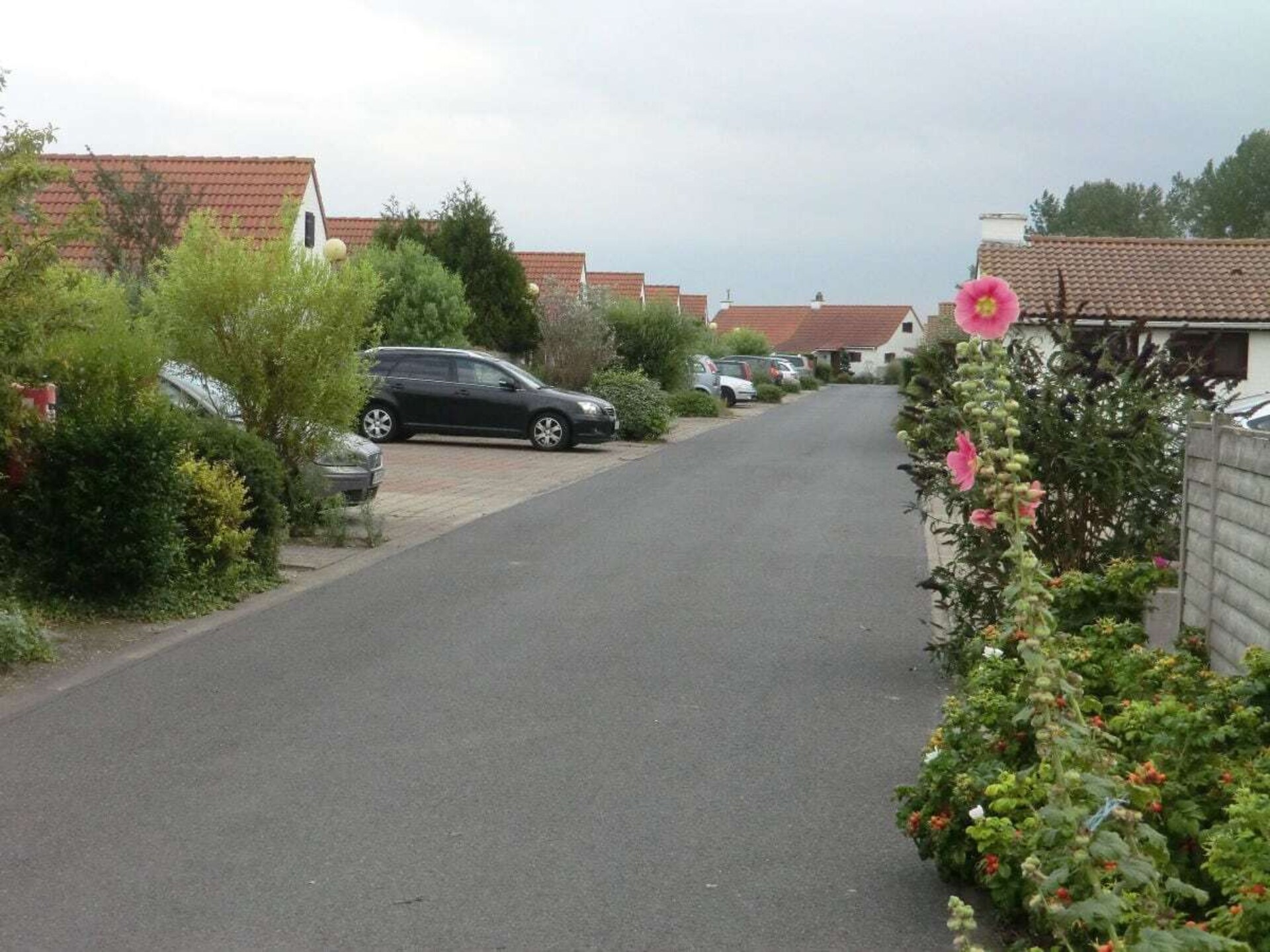 4-persoons vakantiehuis met zonneterras in De Haan - foto 13