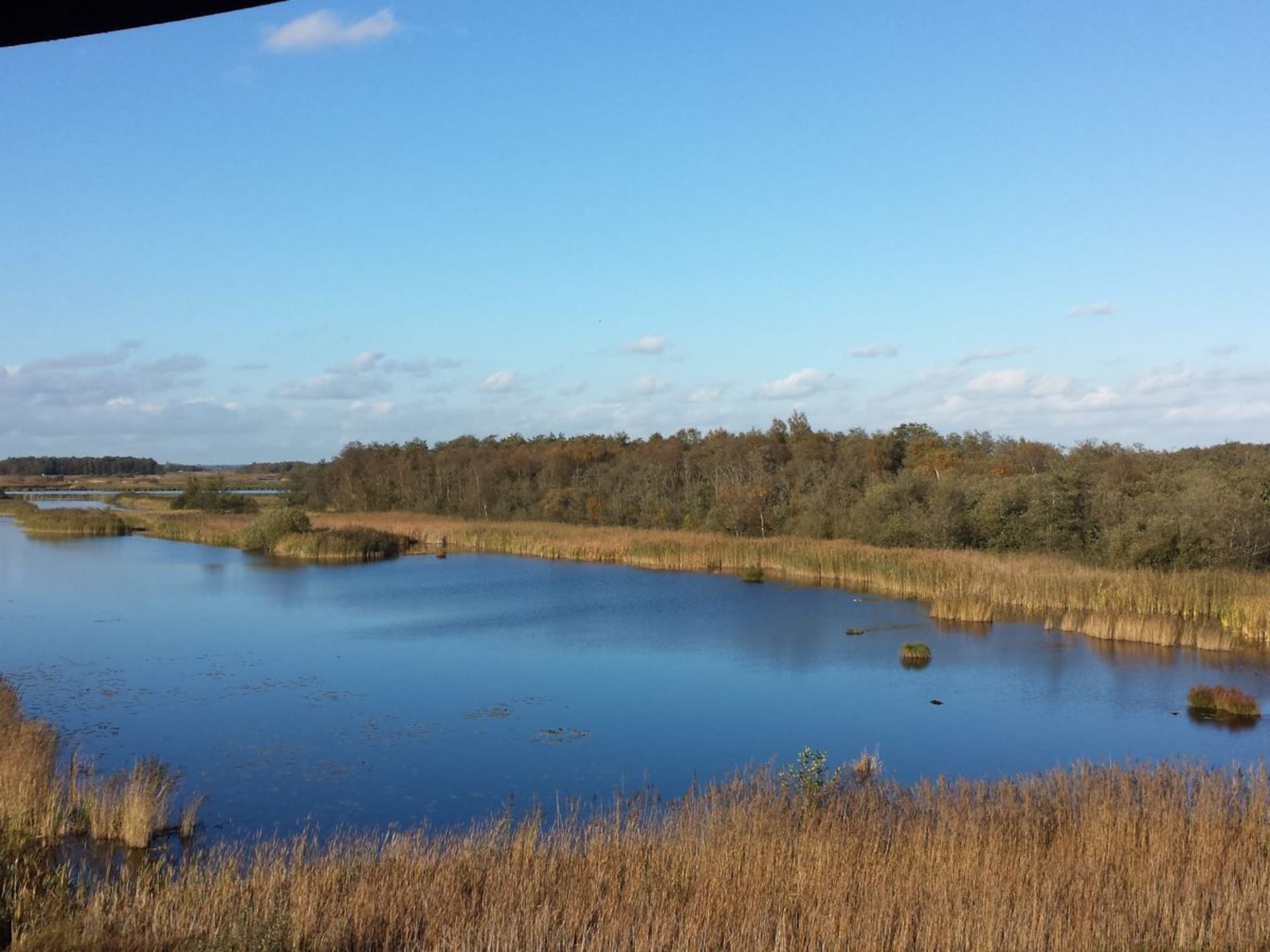 Authentieke boerderij in Giethoorn met eigen punter, boothuis en grote tuin - foto 16
