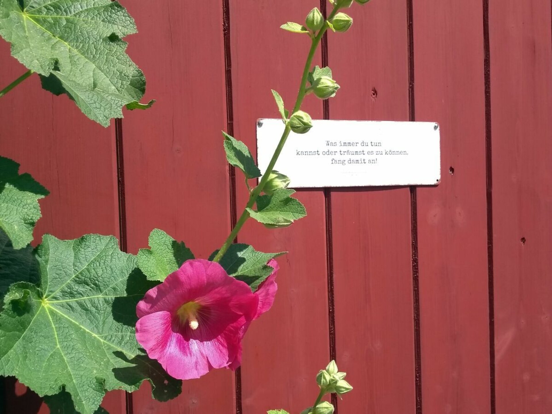 Ruim vakantiehuis Lindhus bij Arnis met weids uitzicht over de Schlei - foto 16