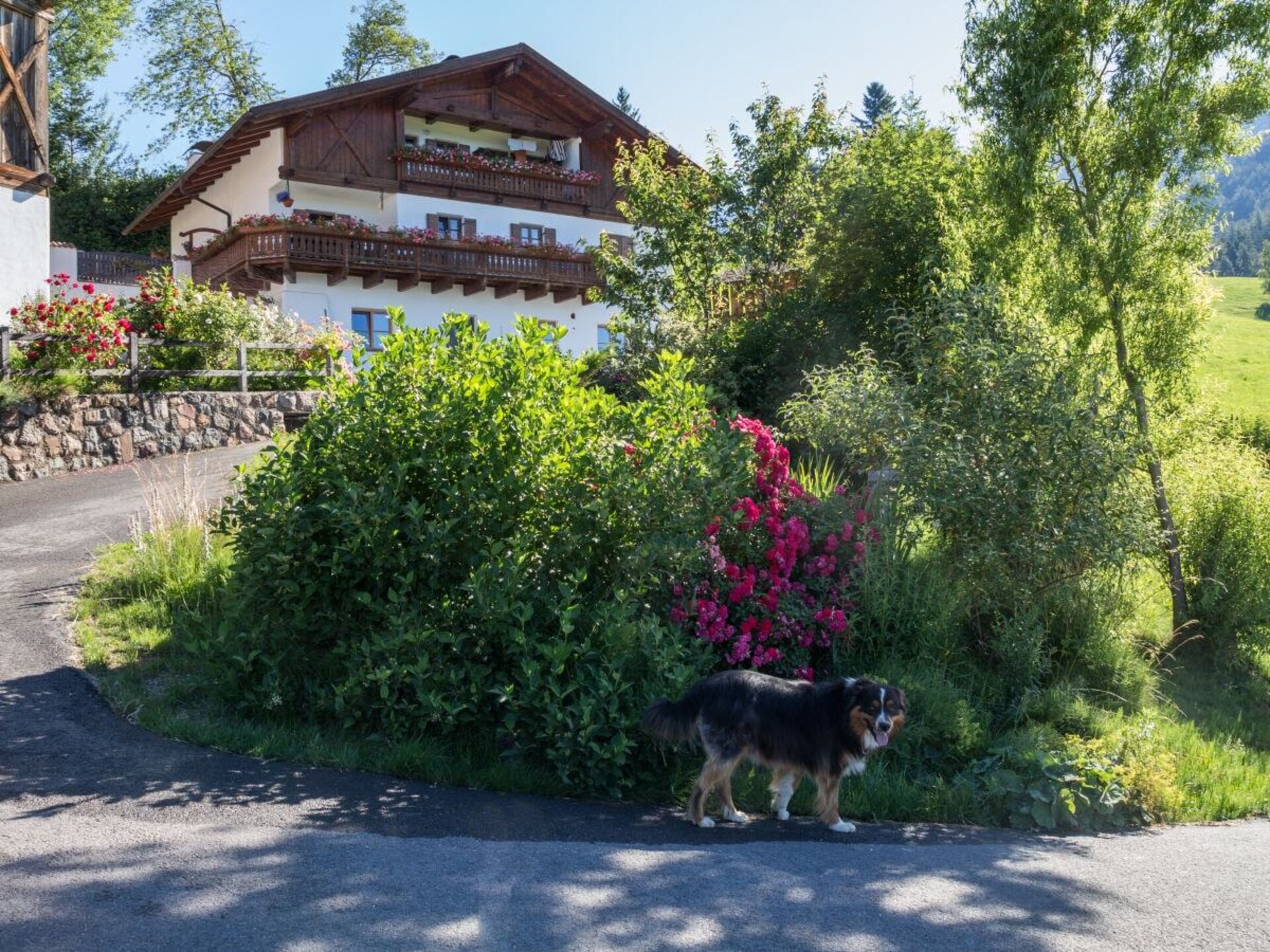 Sfeervol vakantiehuis met uitzicht op het Latemargebergte in Völs am Schlern - foto 5