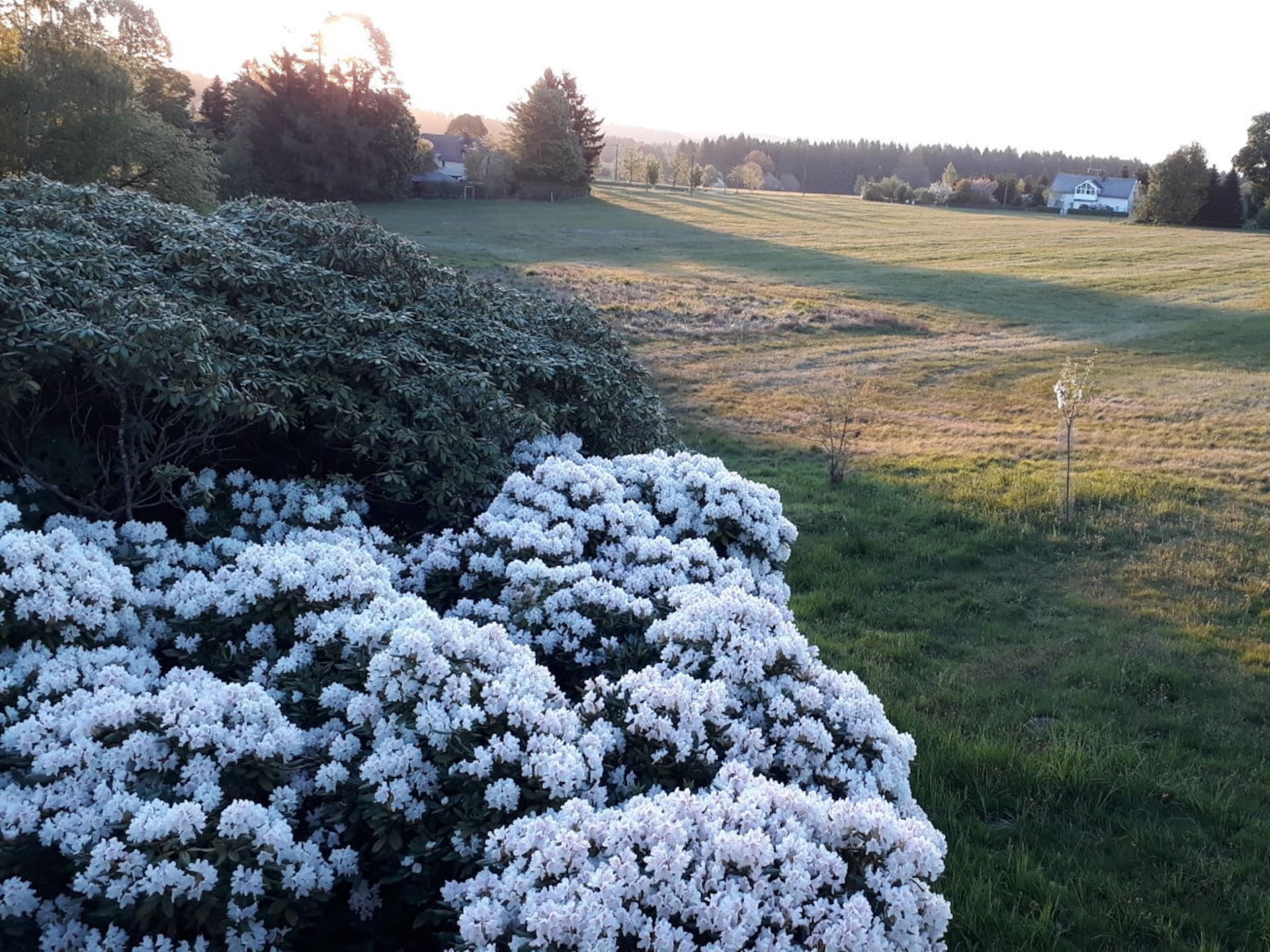 Ruim vakantiehuis voor 6 personen in Bad Brambach - foto 32