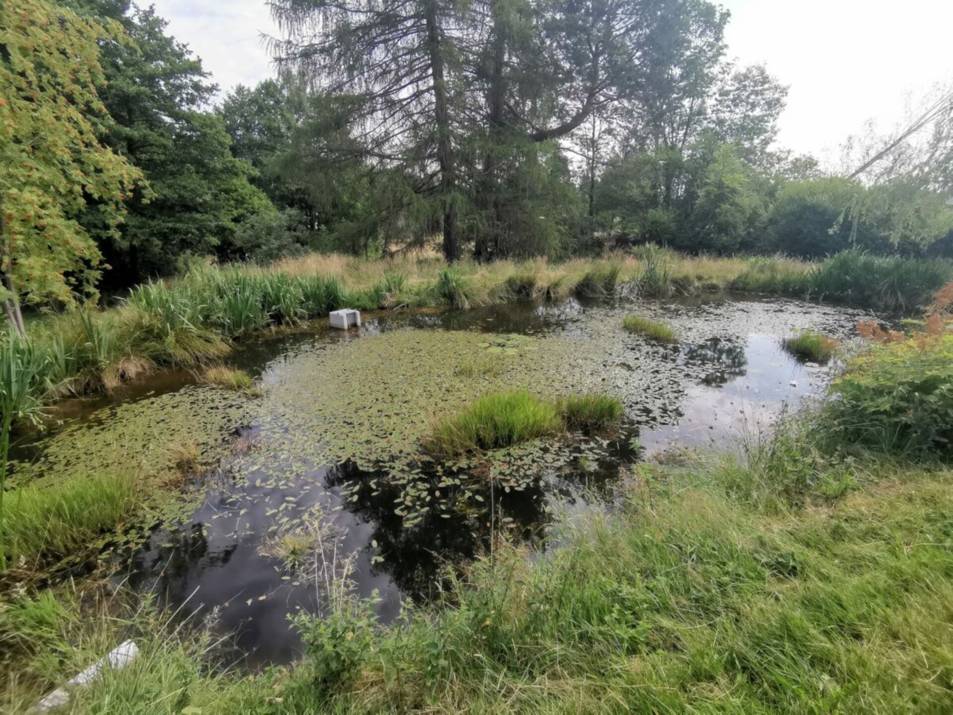 Ruim vakantiehuis voor 6 personen in Bad Brambach - foto 36