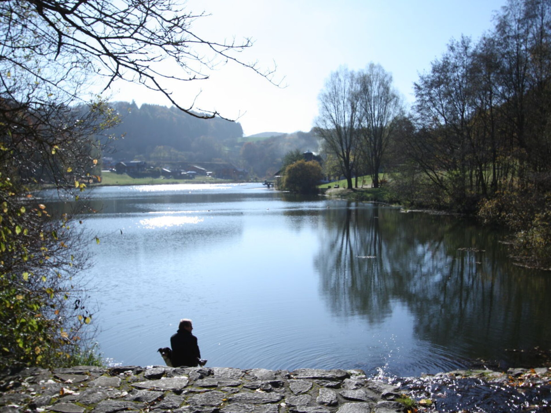 Harmonieus vakantiehuis in Rieden met infraroodsauna, vlakbij de Eifel - foto 15
