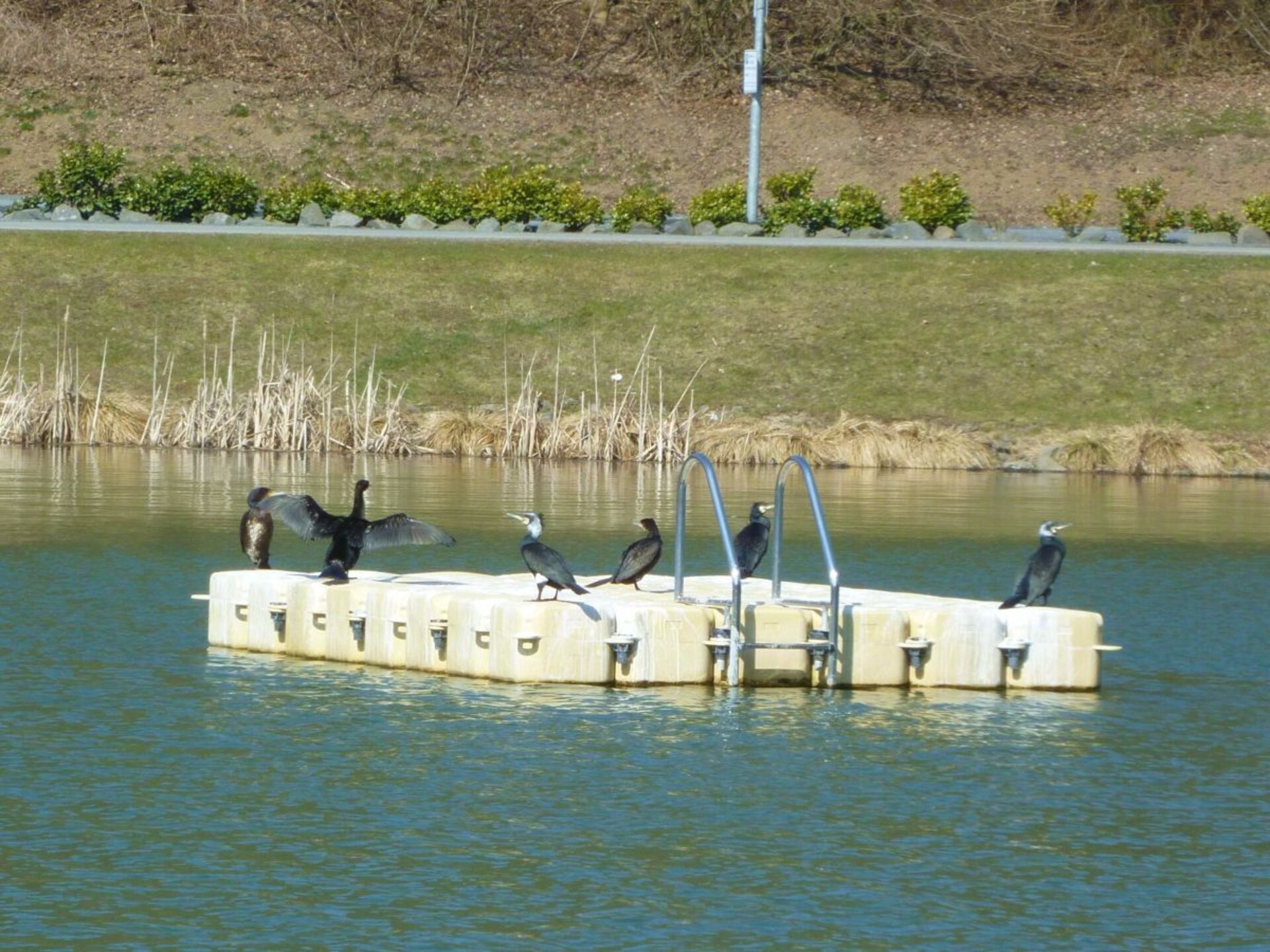 Harmonieus vakantiehuis in Rieden met infraroodsauna, vlakbij de Eifel - foto 18