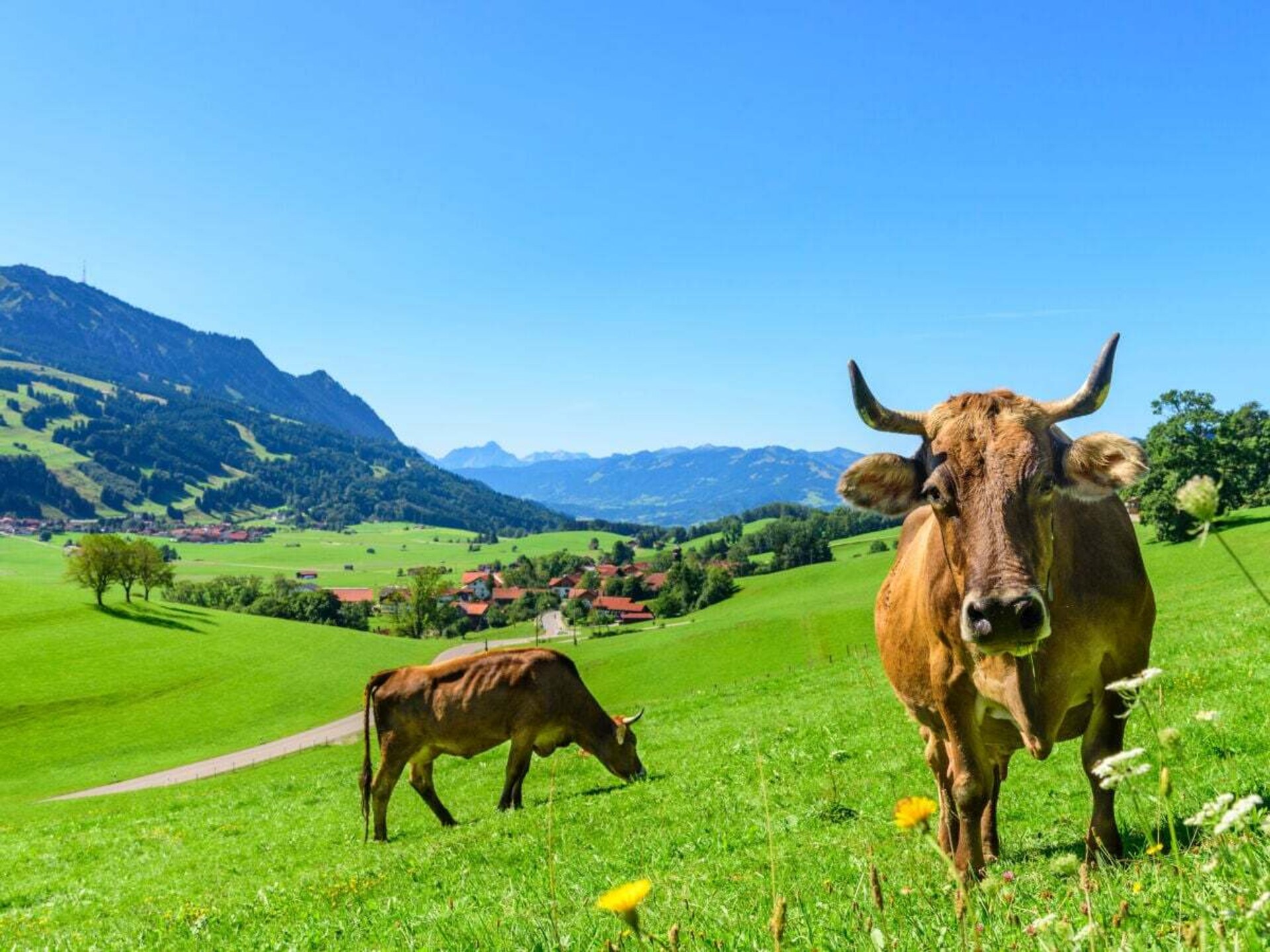 Knus vakantiehuis bij Rettenberg, Allgäu – 4 personen, kindvriendelijk - foto 8