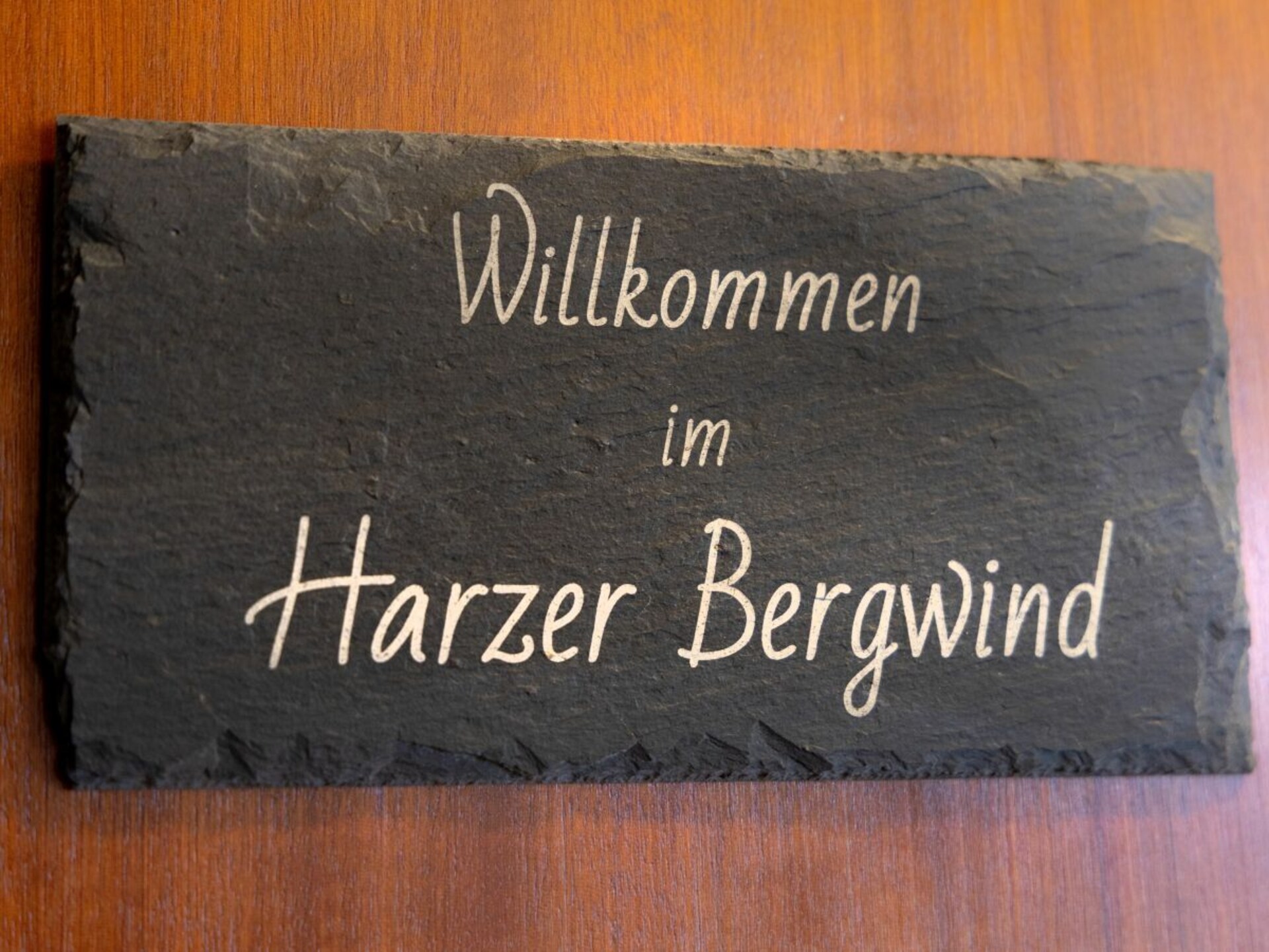 Harzer Bergwind: Modern appartement met zonnig terras in Sankt Andreasberg - foto 16