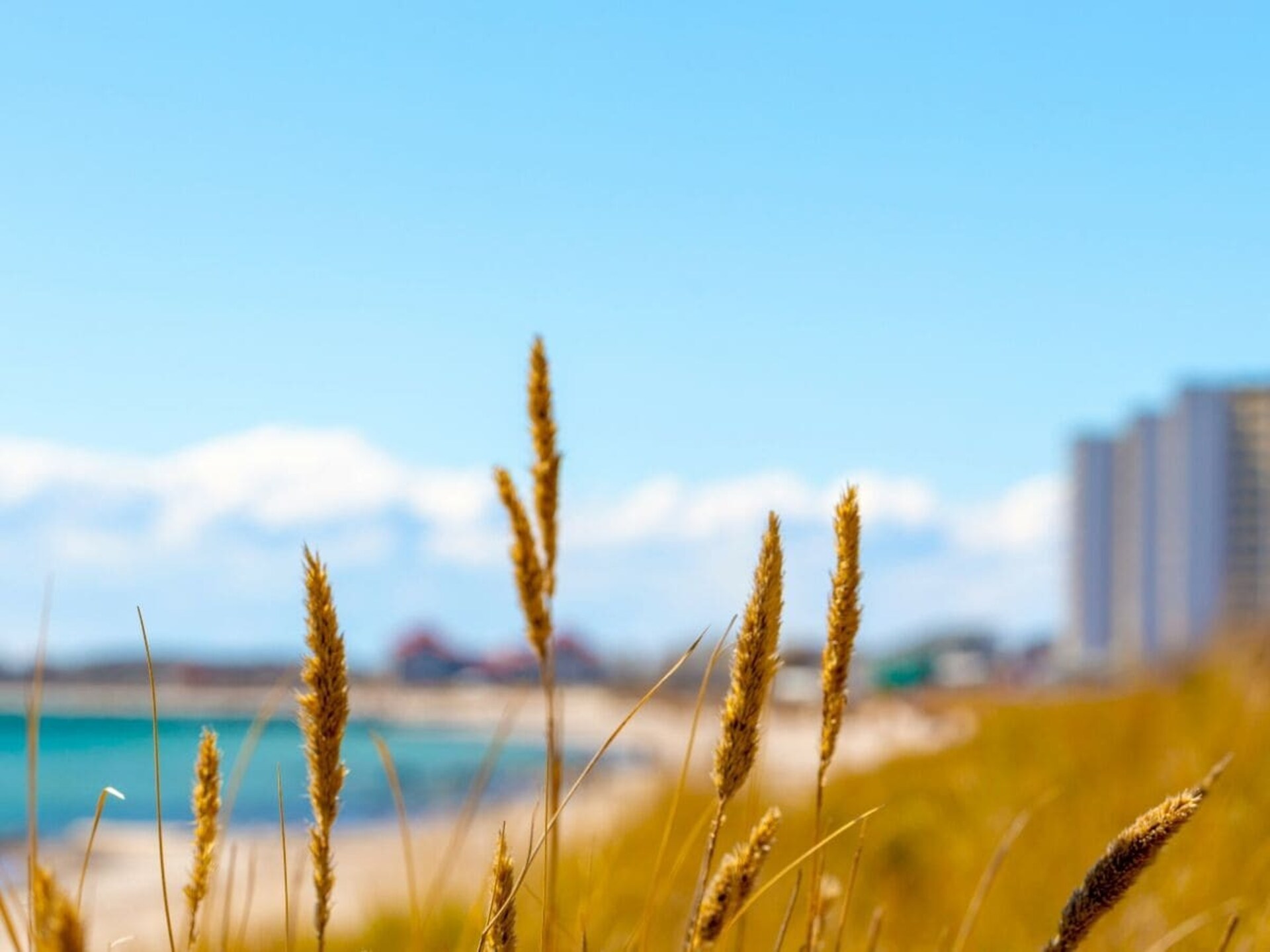 Havenappartement met panoramisch uitzicht op Fehmarn - foto 23