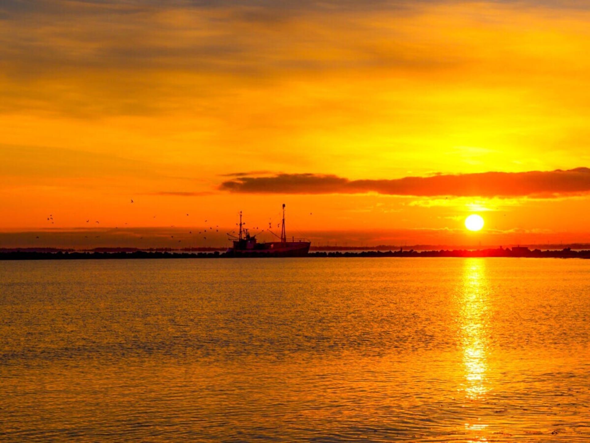 Havenappartement met panoramisch uitzicht op Fehmarn - foto 28