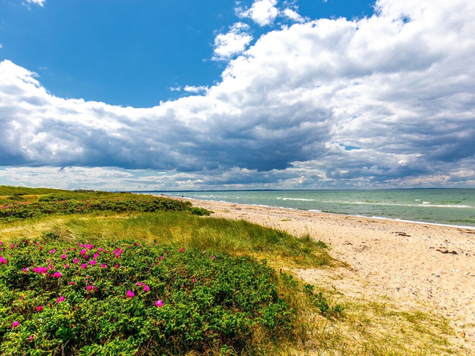 Havenappartement met panoramisch uitzicht op Fehmarn - foto 31