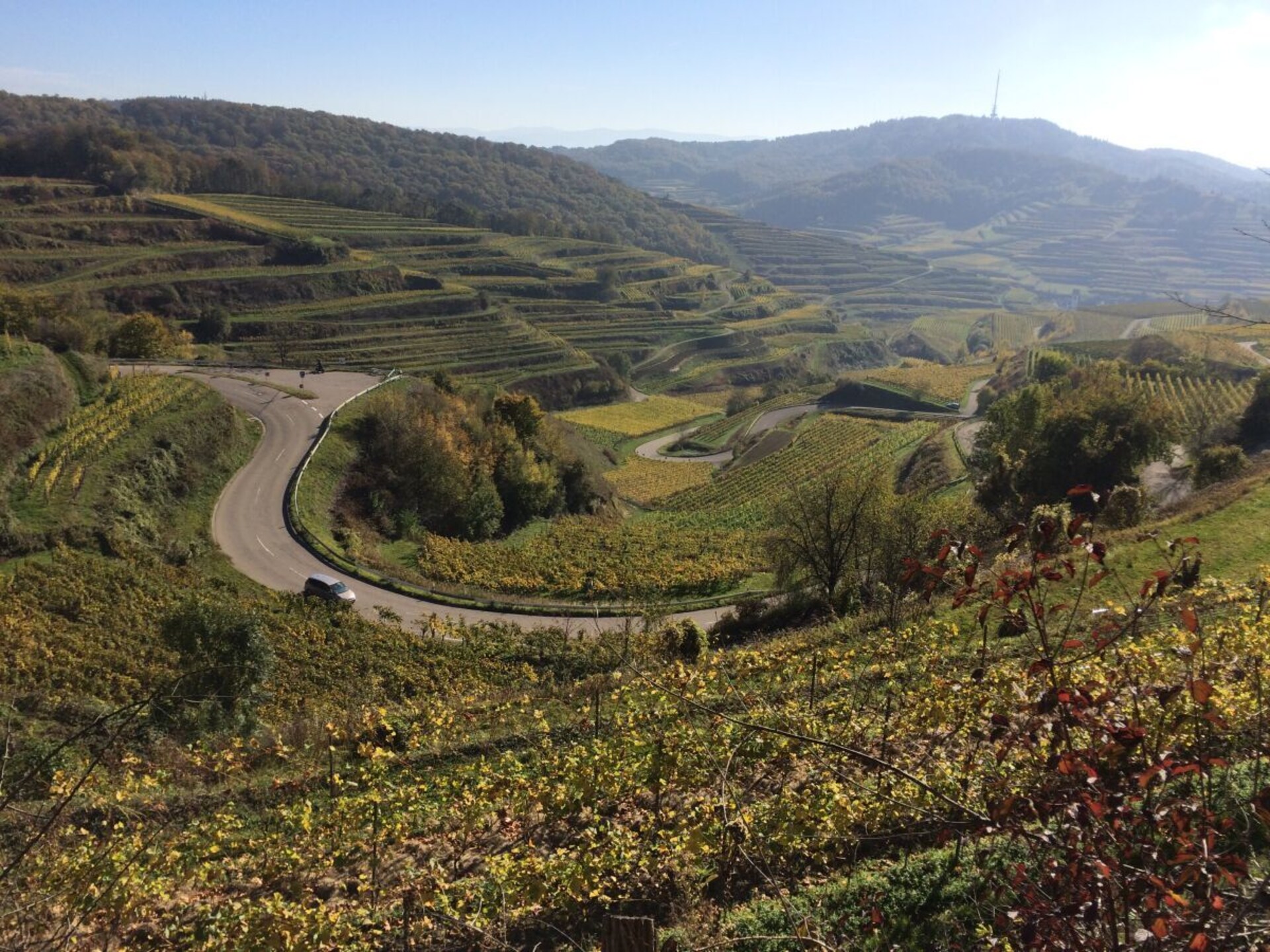 Op 1,0 km van het centrum: knus vakantiehuis in Endingen am Kaiserstuhl - foto 8