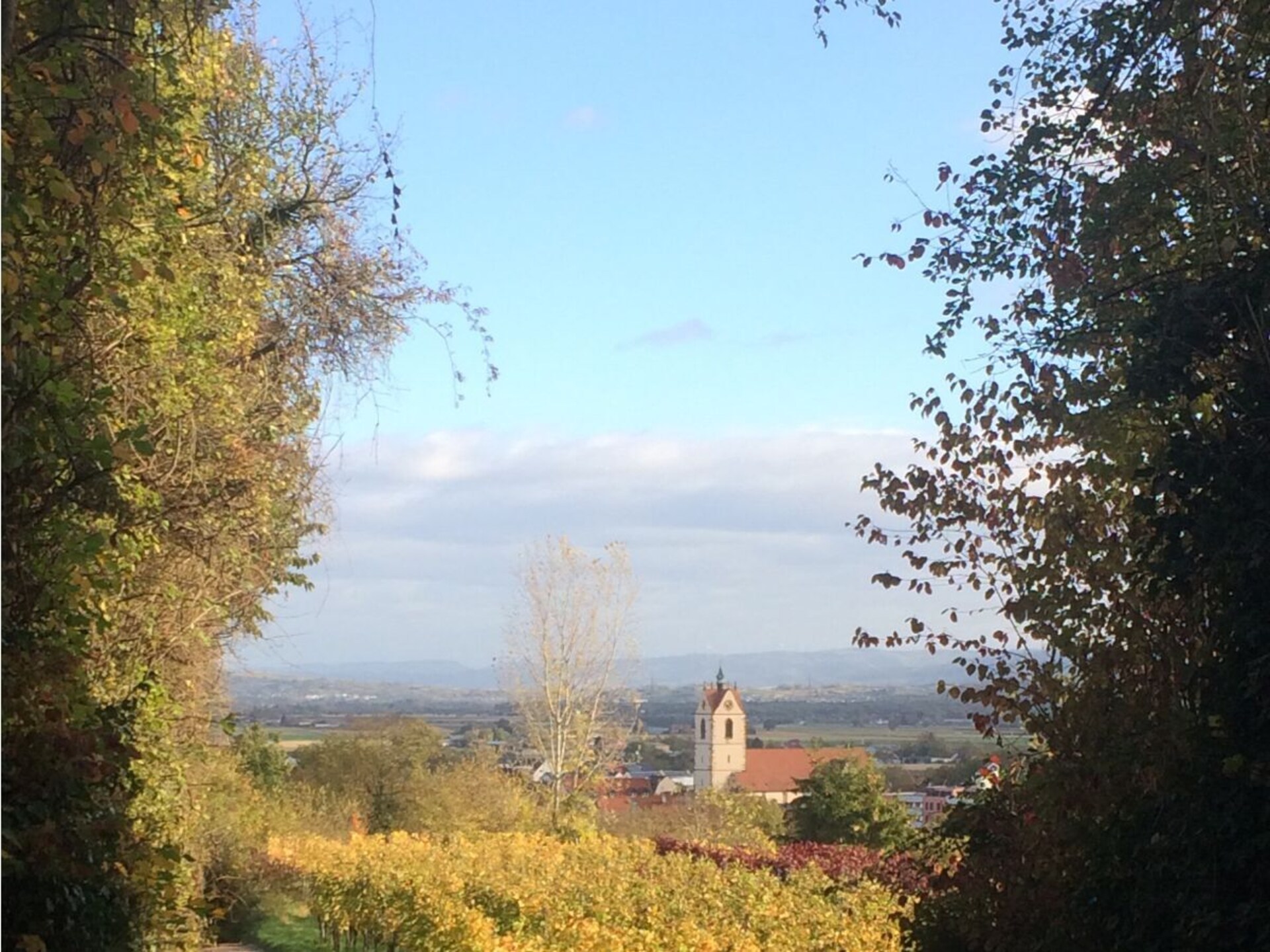 Op 1,0 km van het centrum: knus vakantiehuis in Endingen am Kaiserstuhl - foto 13