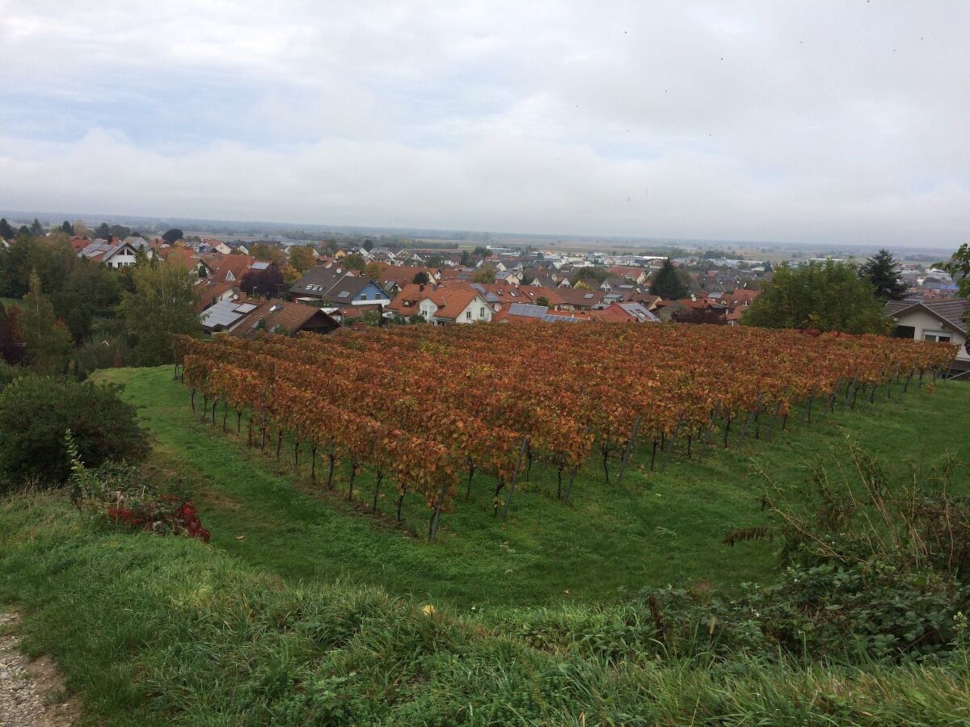 Op 1,0 km van het centrum: knus vakantiehuis in Endingen am Kaiserstuhl - foto 14