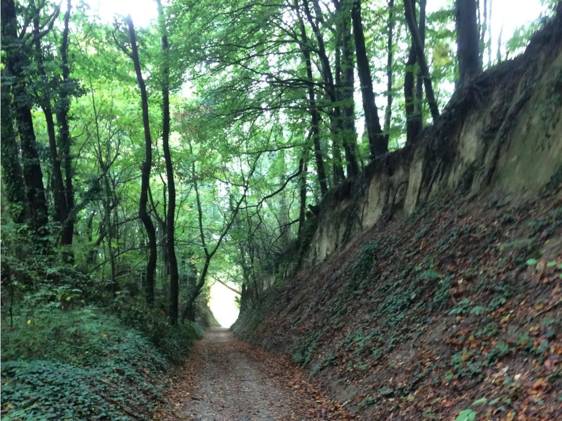 Op 1,0 km van het centrum: knus vakantiehuis in Endingen am Kaiserstuhl - foto 15