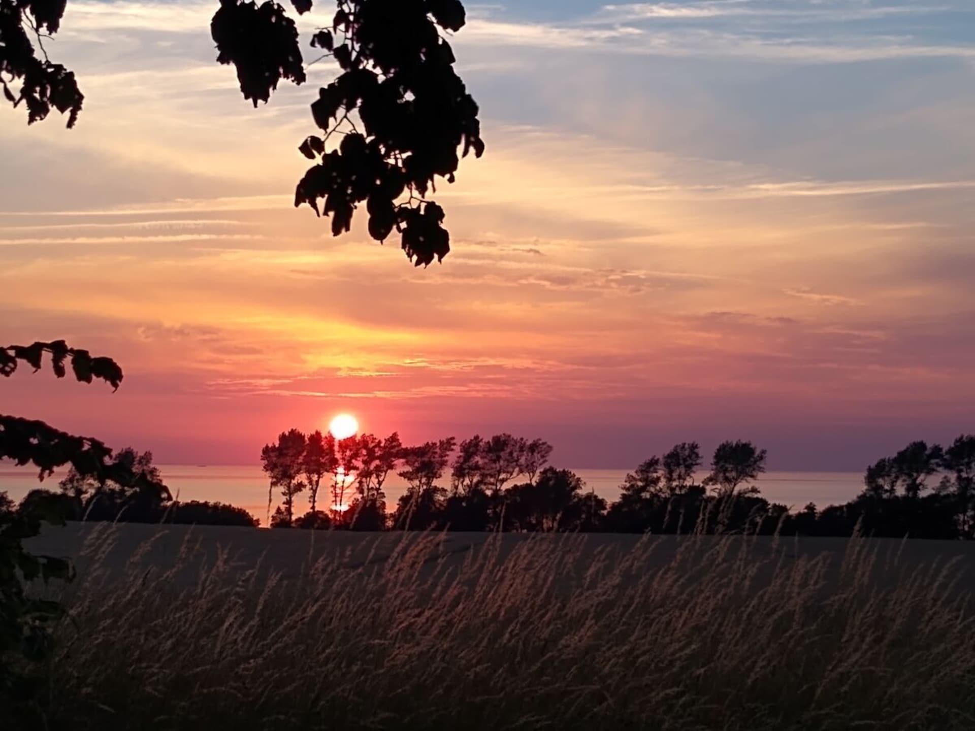 Centraal gelegen vakantiehuis in Ostseebad Rerik met uitzicht op de lagune - foto 23