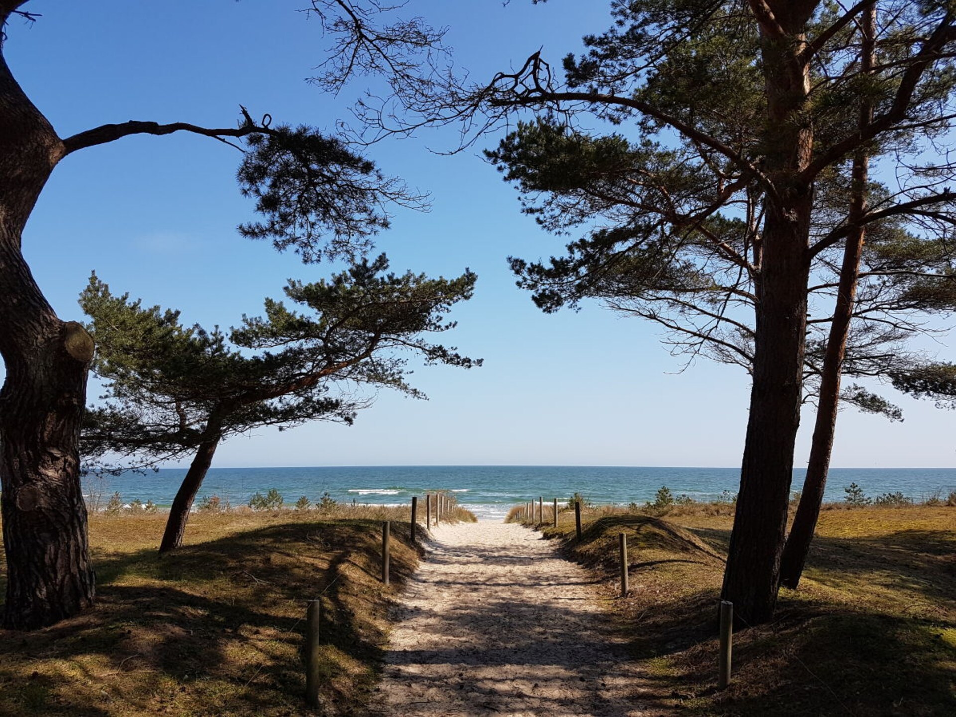 Knus kelderappartement Villa Wauzi op 100m van strand Baabe - foto 23