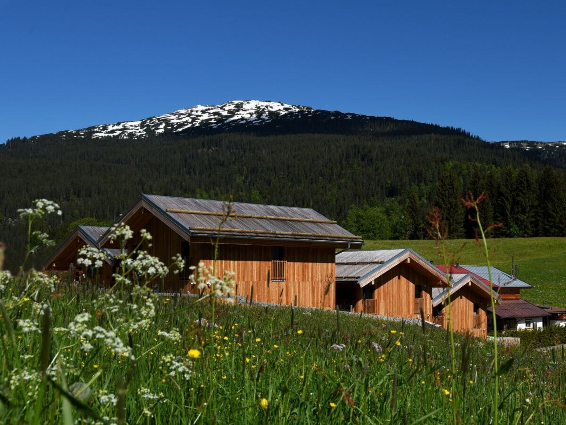 Villa Widderstein: Ruim chalet voor 8, 100m van de skilift in Hirschegg - foto 27