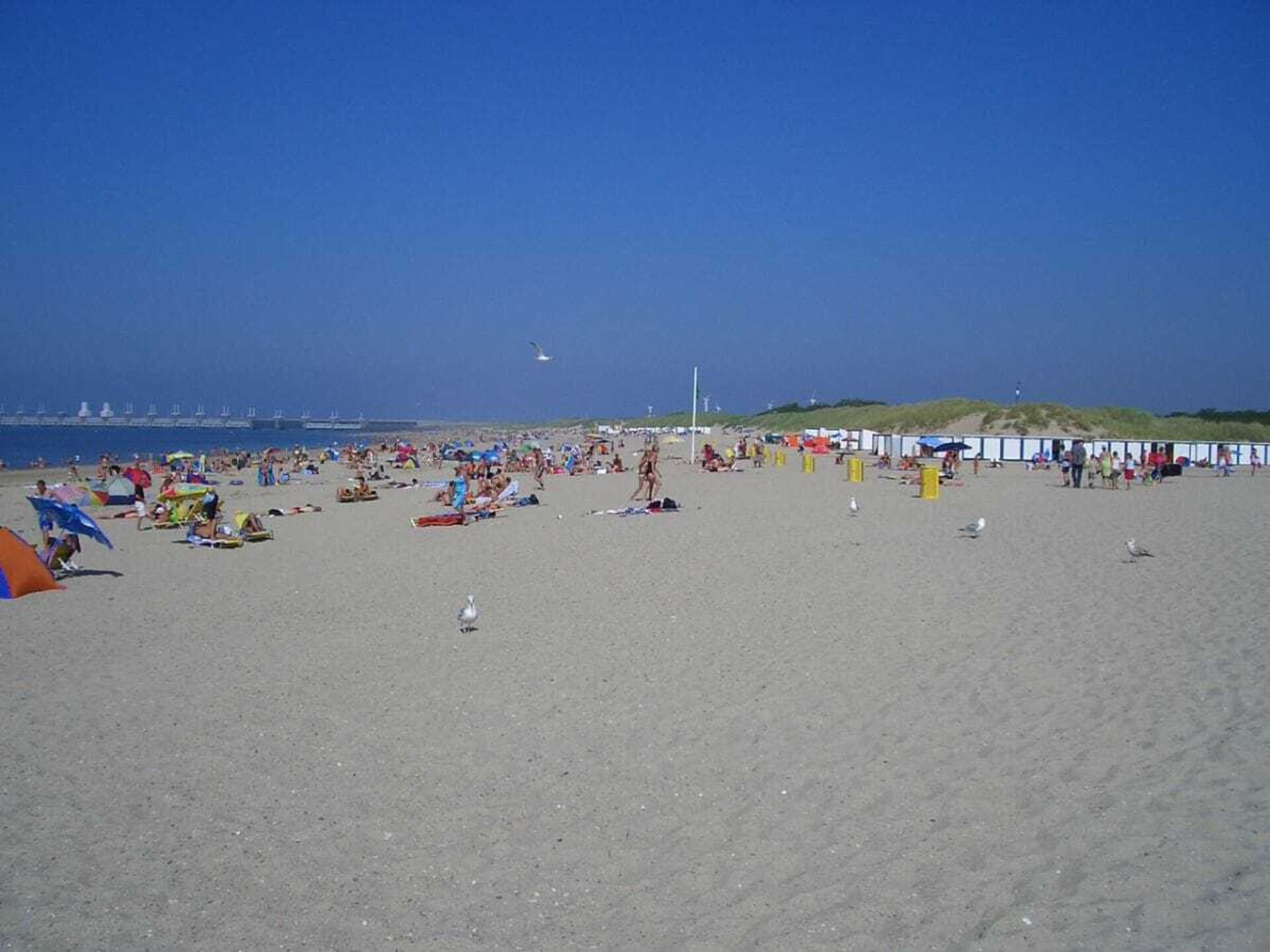 Ruime villa met Finse sauna op 5 minuten van het Noordzeestrand in Kamperland - foto 37