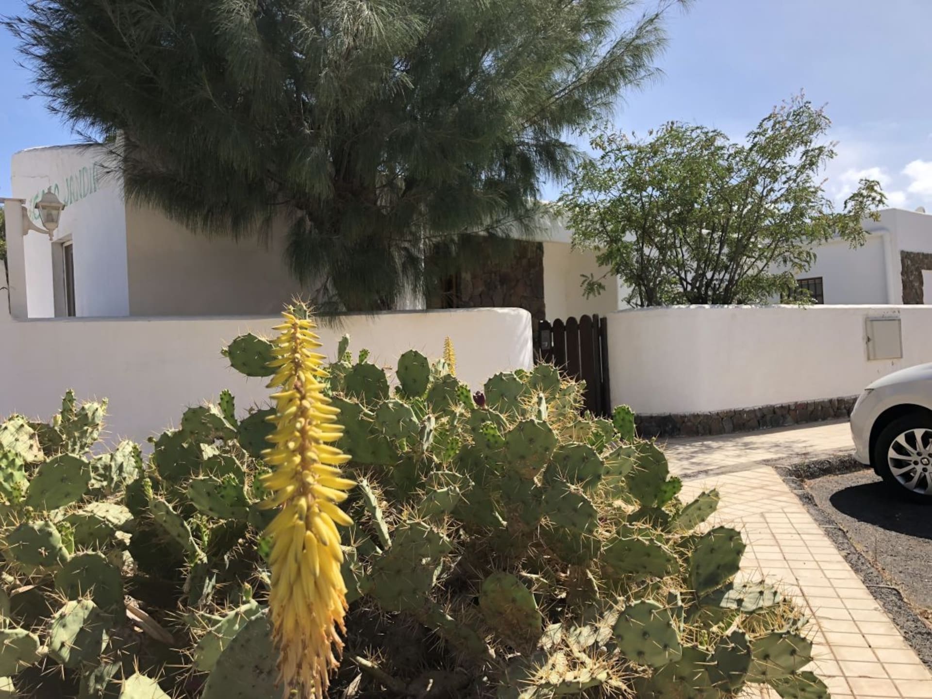 Ruime bungalow met zwembad op 400m van zee in Jandia - foto 6