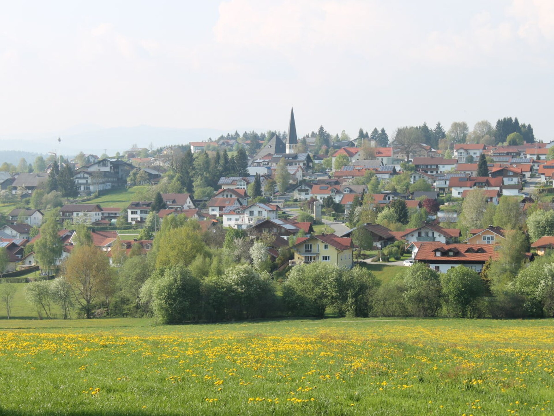 Zonnebloem studio in Hinterschmiding met uitzicht, zwembad en houtkachel - foto 18