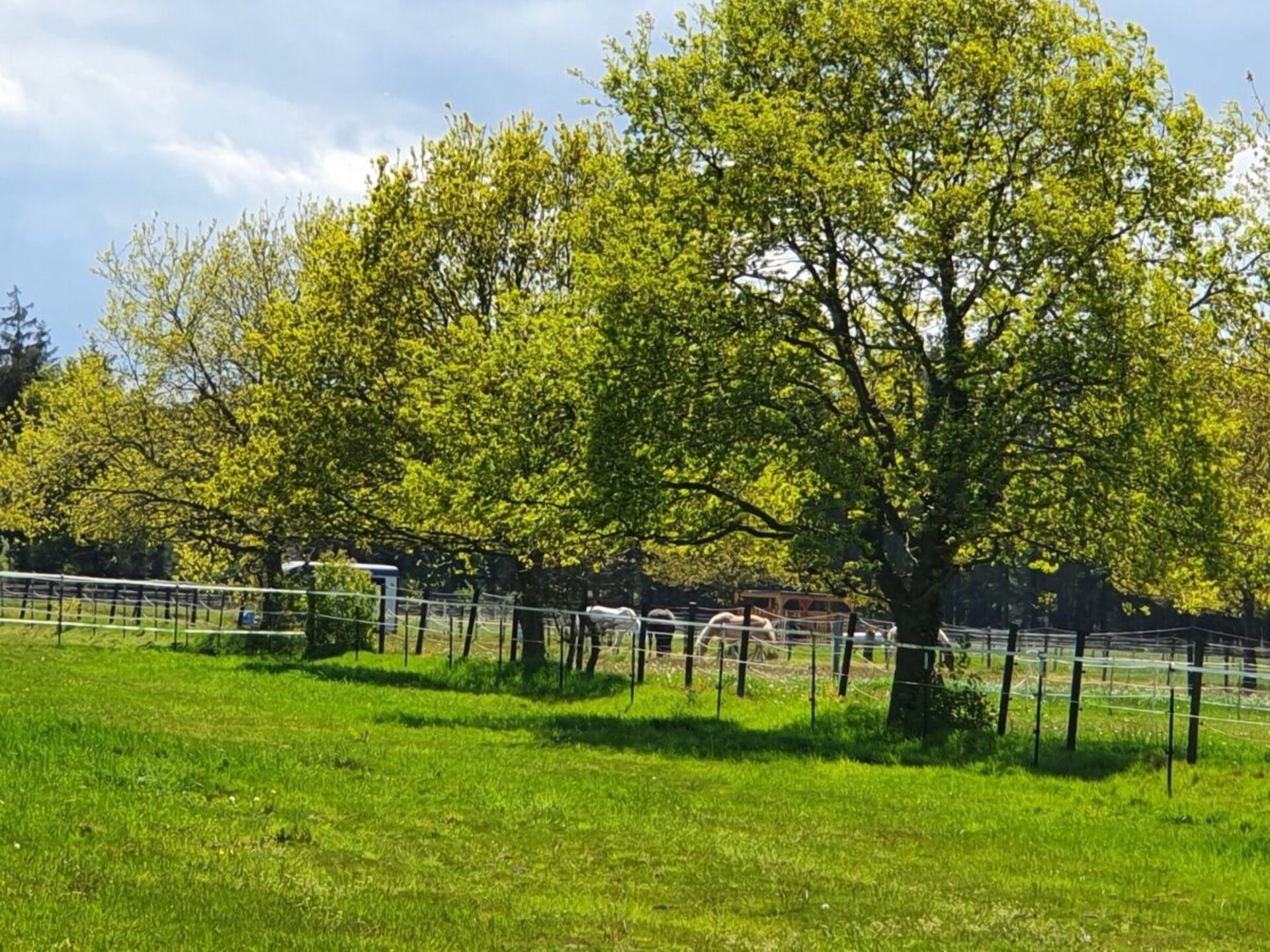 Romantisch appartement met uitzicht op de natuur in Cuxhaven - foto 9