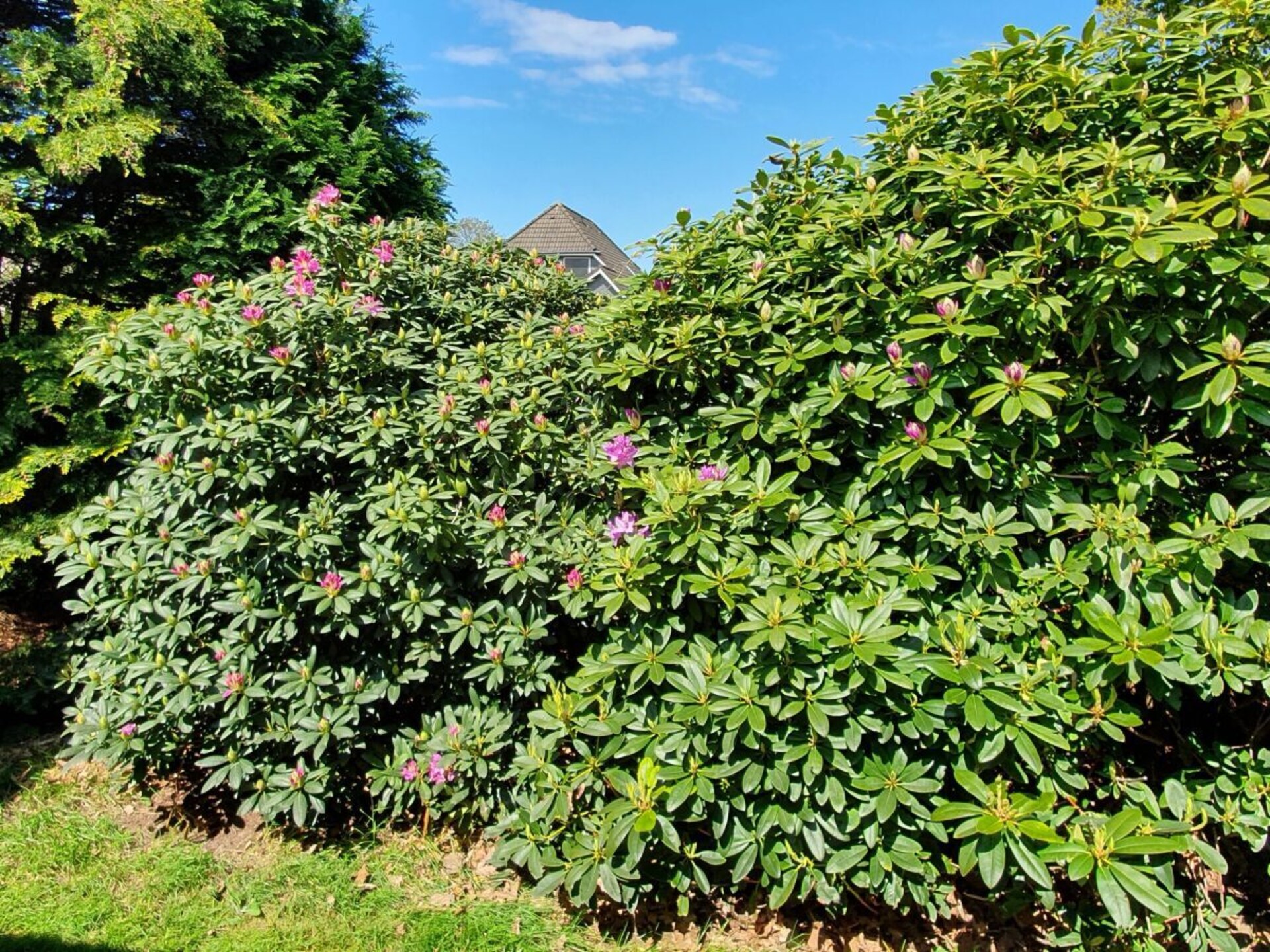Romantisch appartement met uitzicht op de natuur in Cuxhaven - foto 10