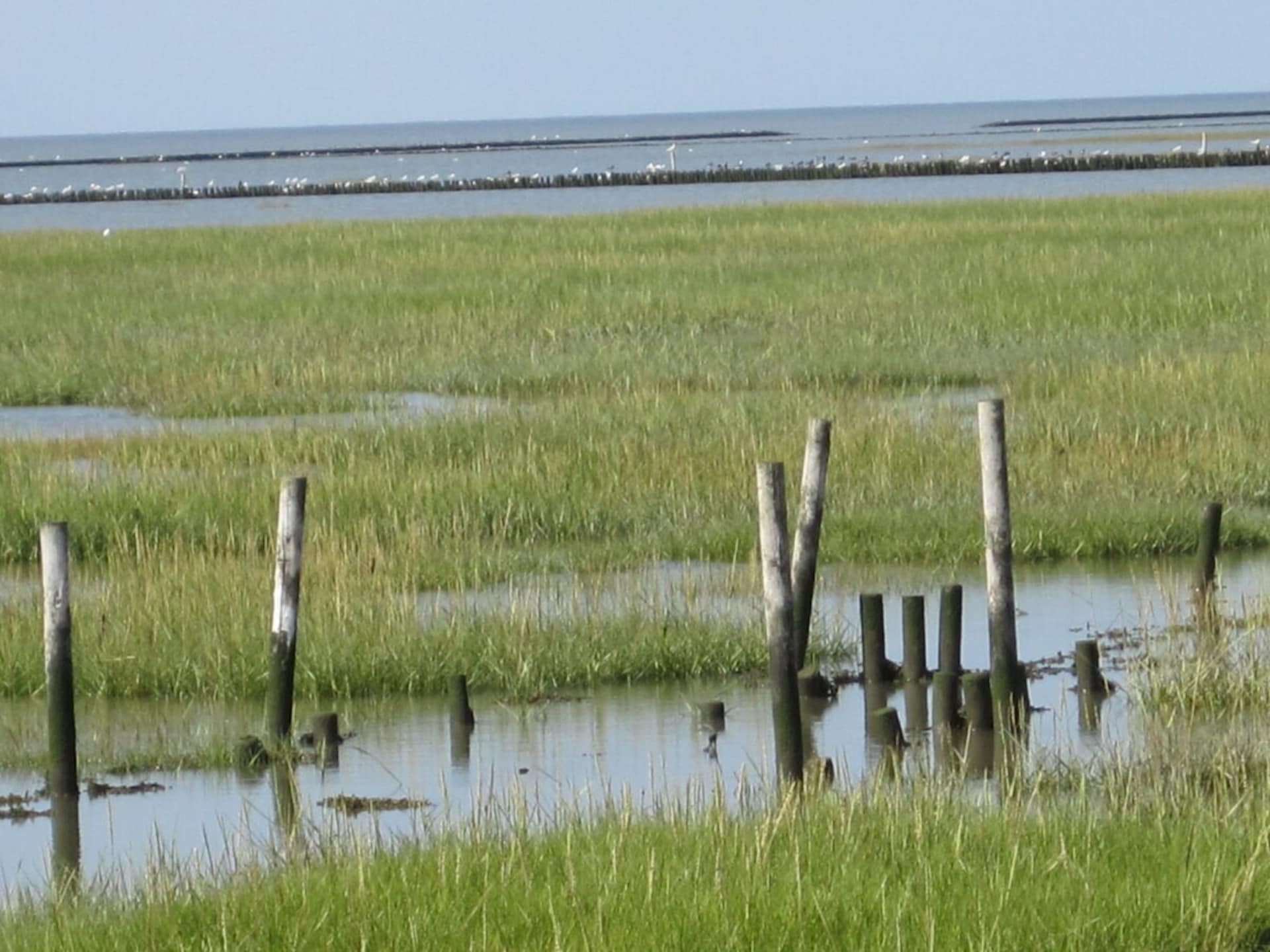 Stijlvol appartement aan de Waddenzeedijk bij Nordholz - foto 32