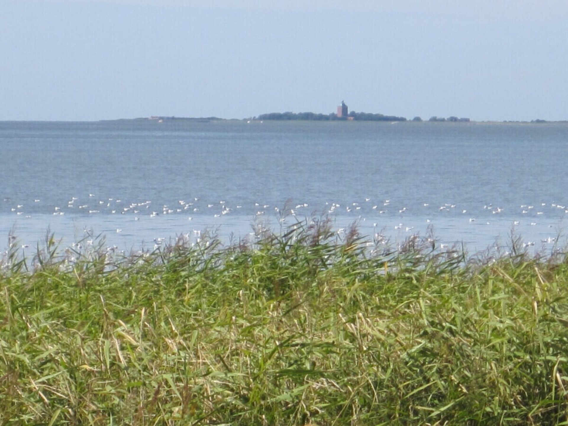 Stijlvol appartement aan de Waddenzeedijk bij Nordholz - foto 33