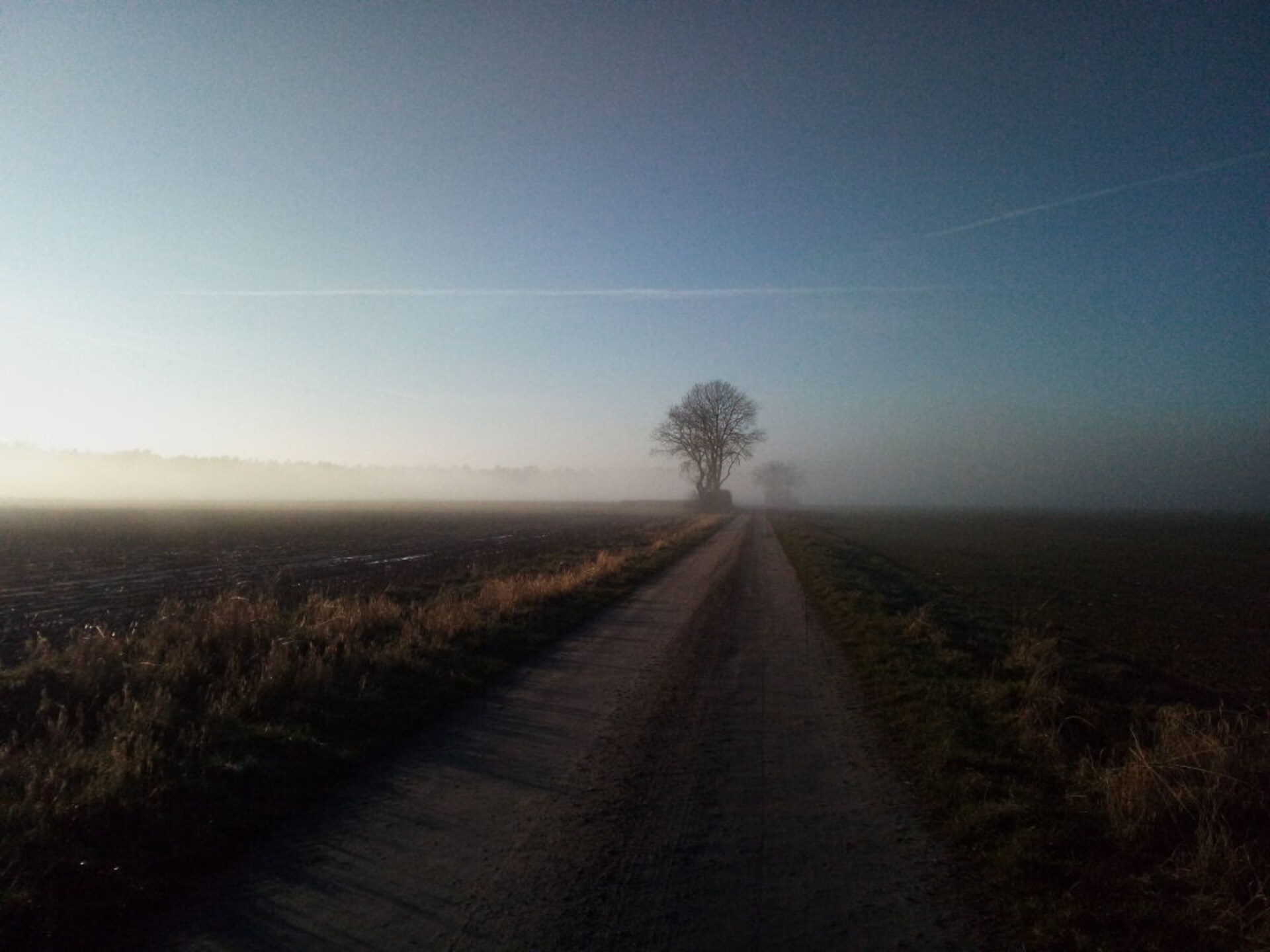 Romantisch boshuis voor 2 met hond op 2900 m² omheind perceel in Suderburg - foto 15
