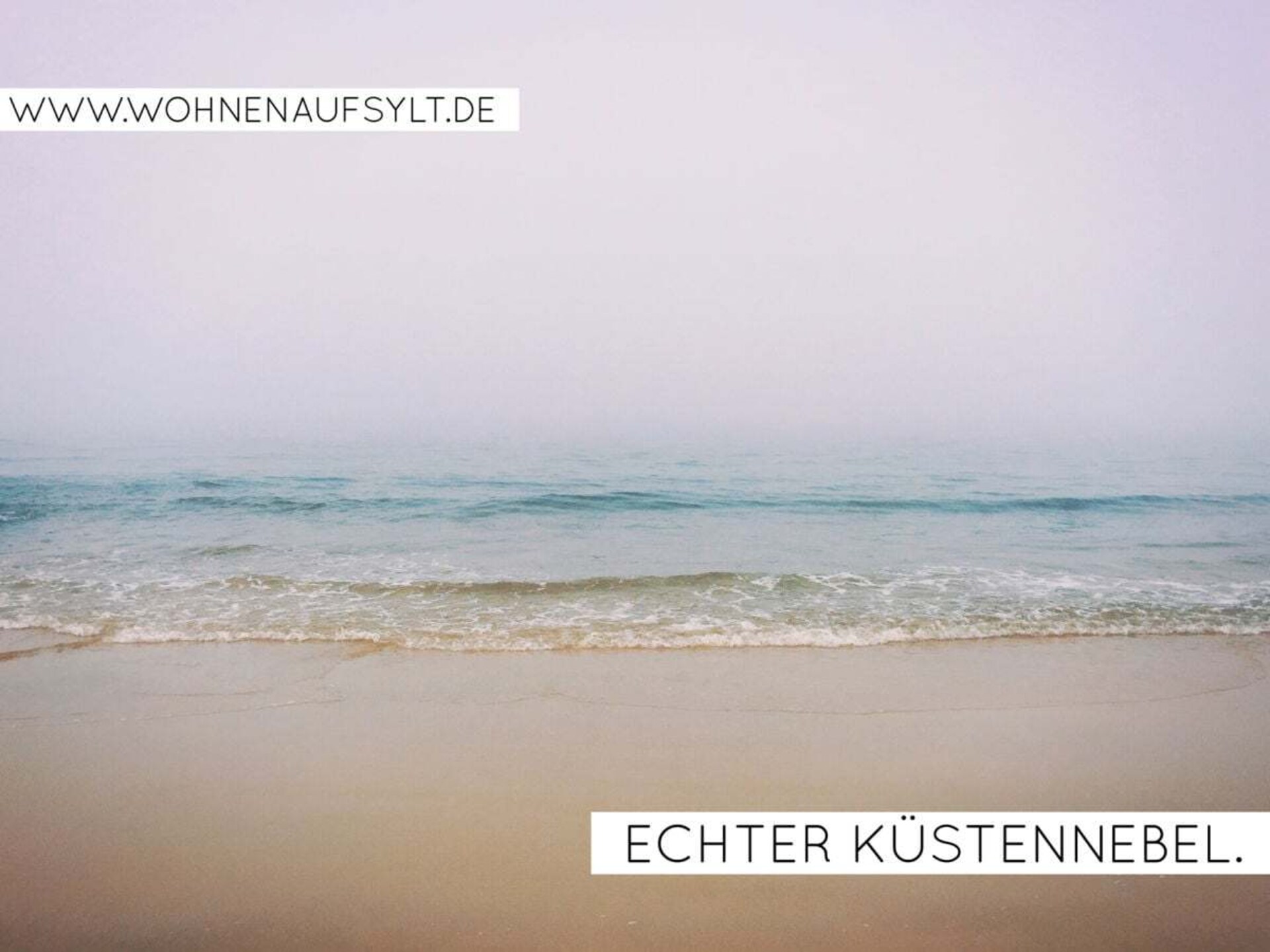 Ruime bungalow op 5 minuten van het strand in Westerland - foto 18