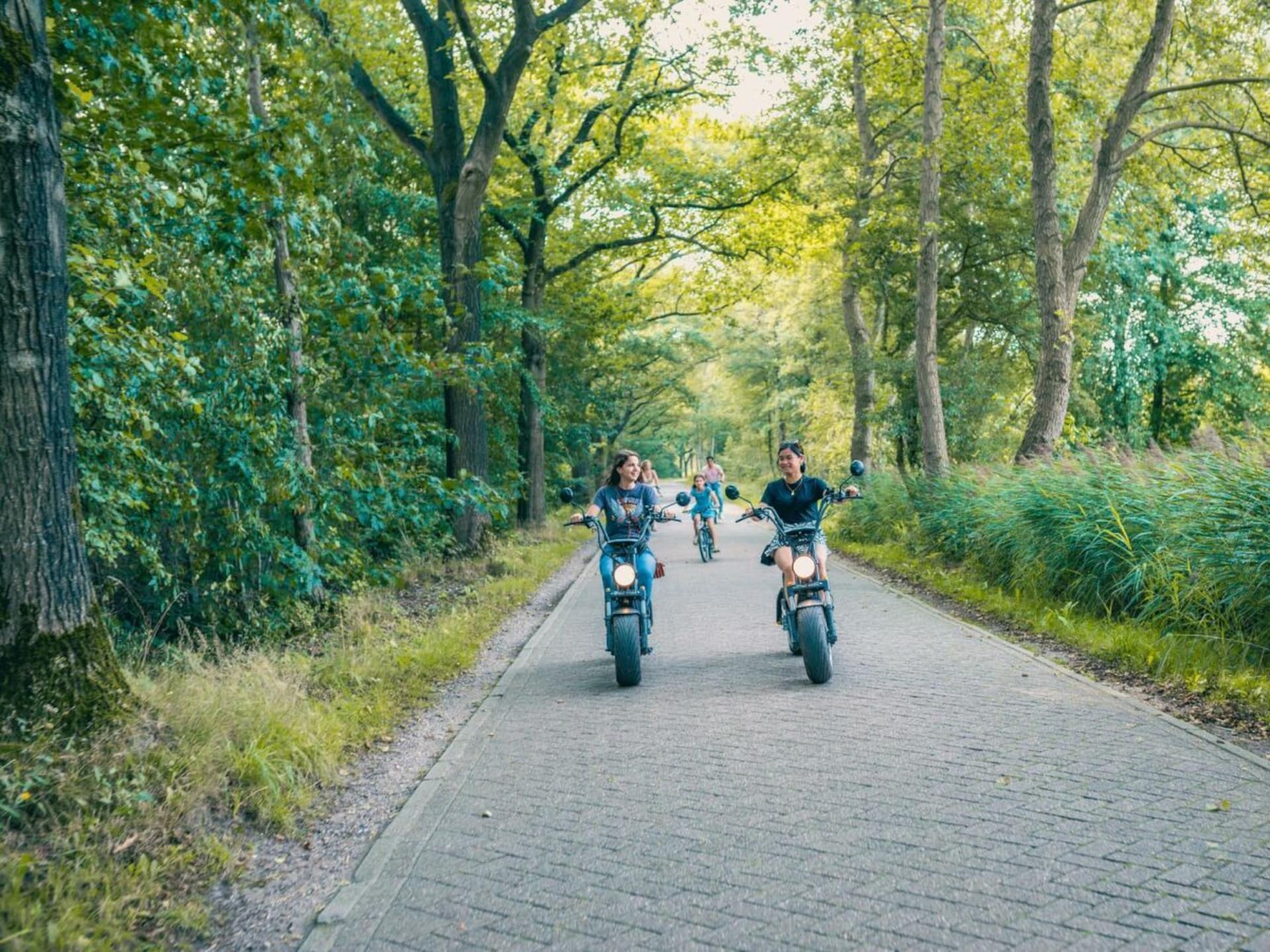 Modern vakantiehuis voor 4 personen in Maarn - foto 6