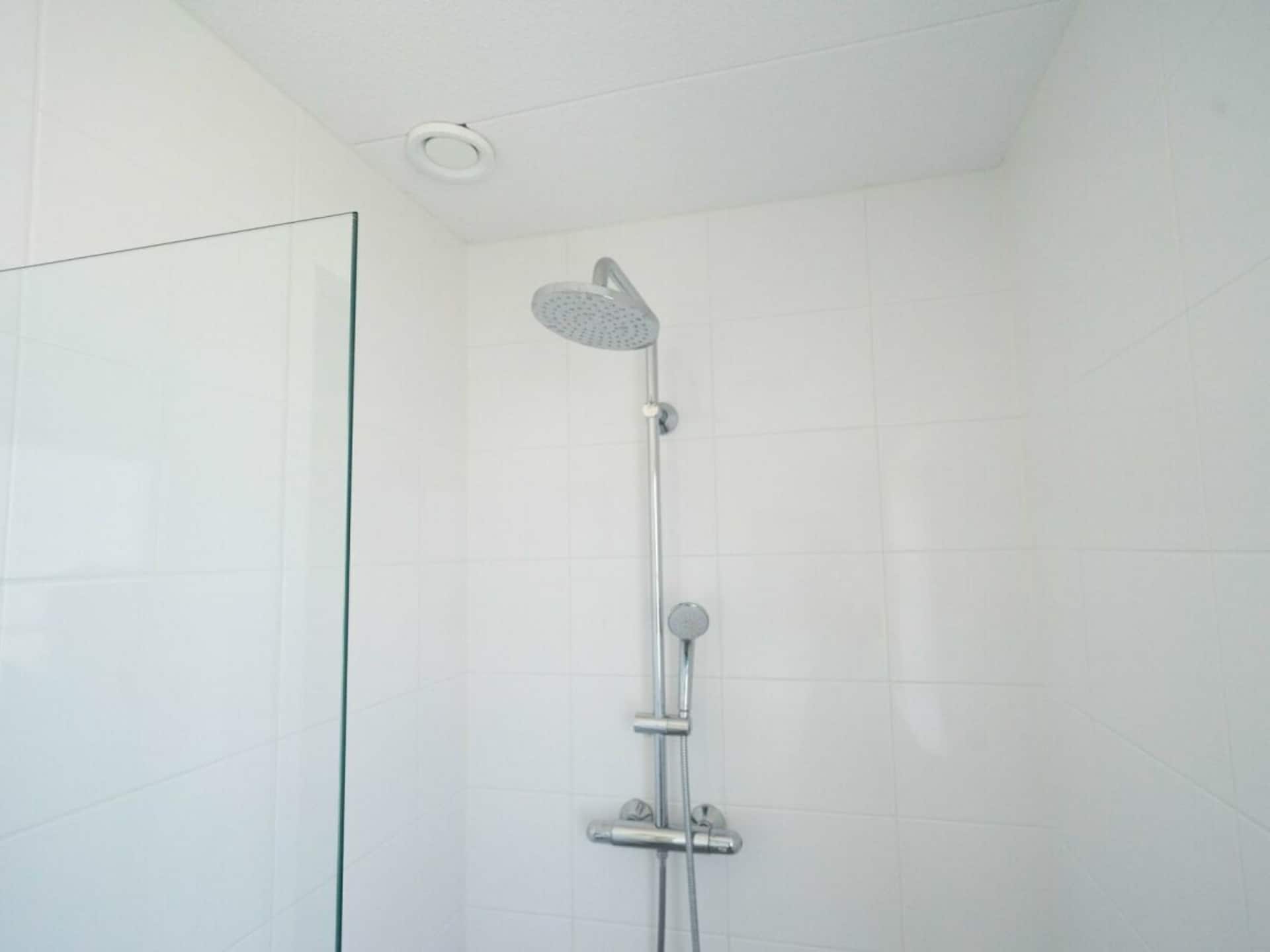 782019 - foto 11
