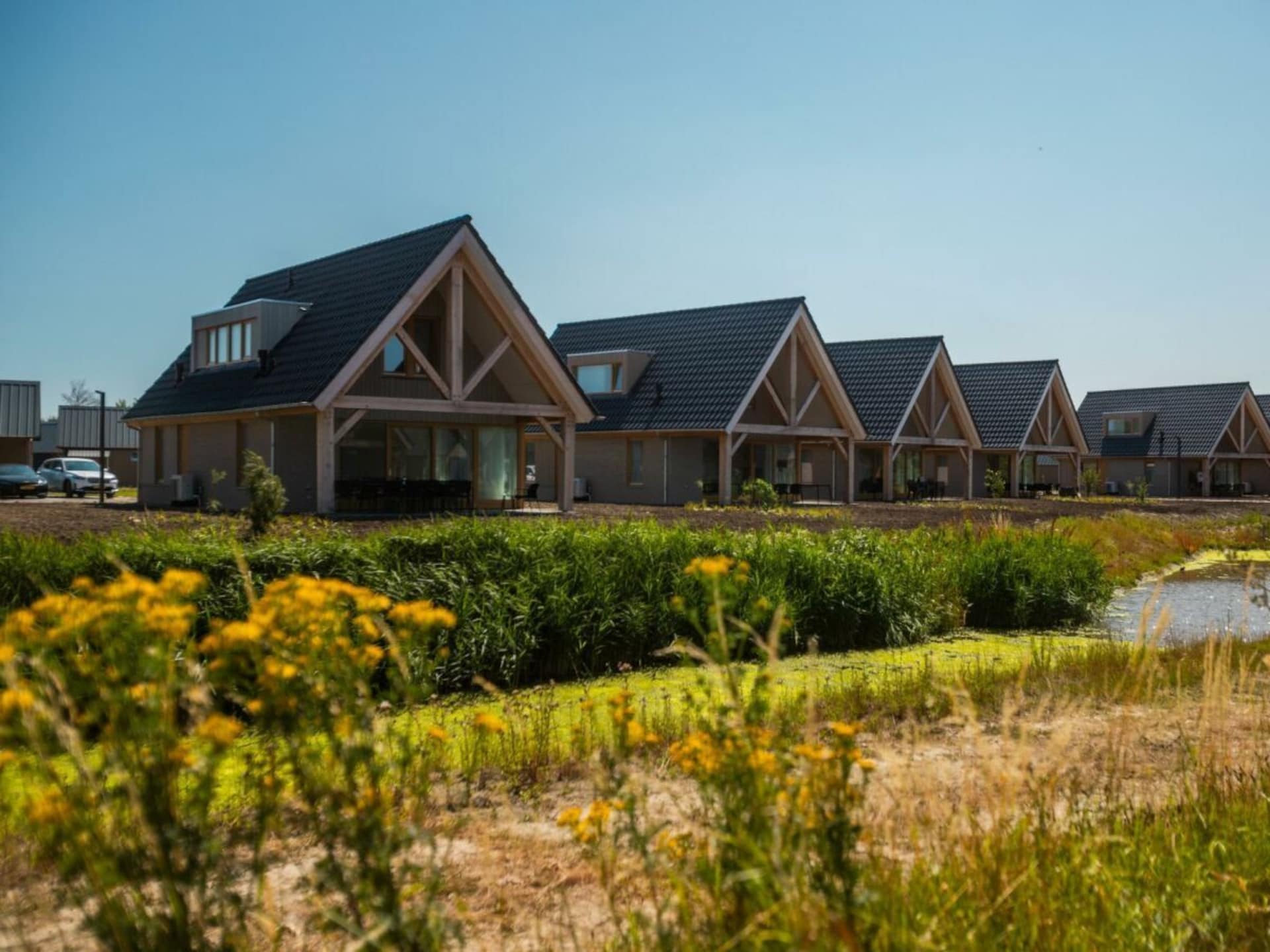 Luxe vrijstaande villa voor 8 personen in Cadzand - foto 9
