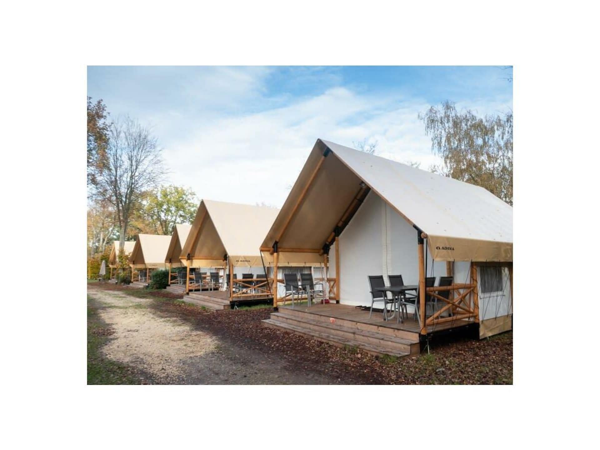 6-persoons glampingtent met veranda en uitzicht in Mol - foto 5