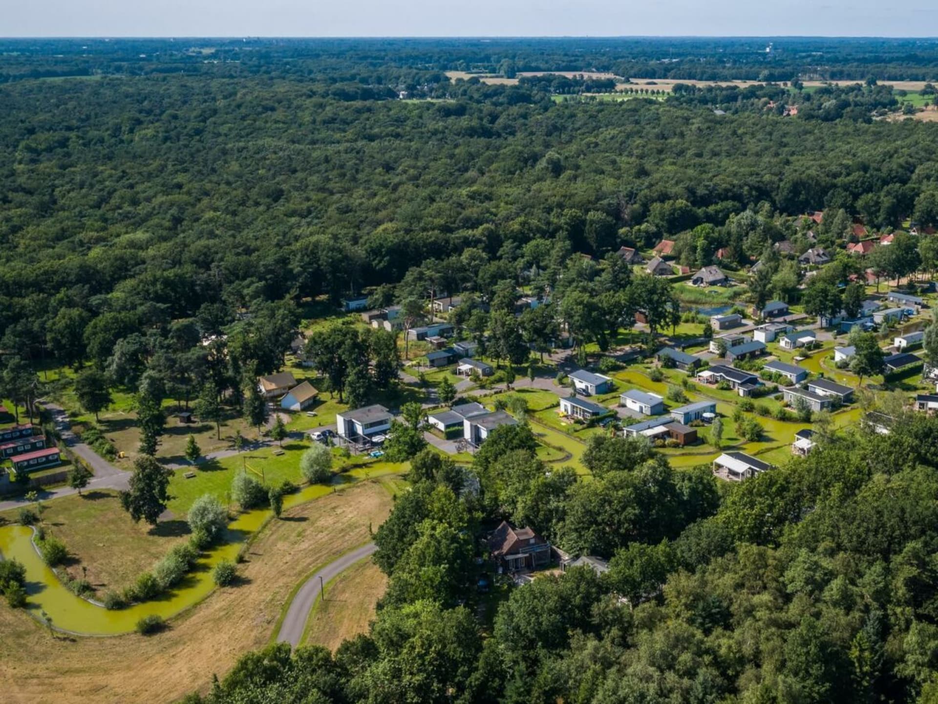 782180 - foto 10